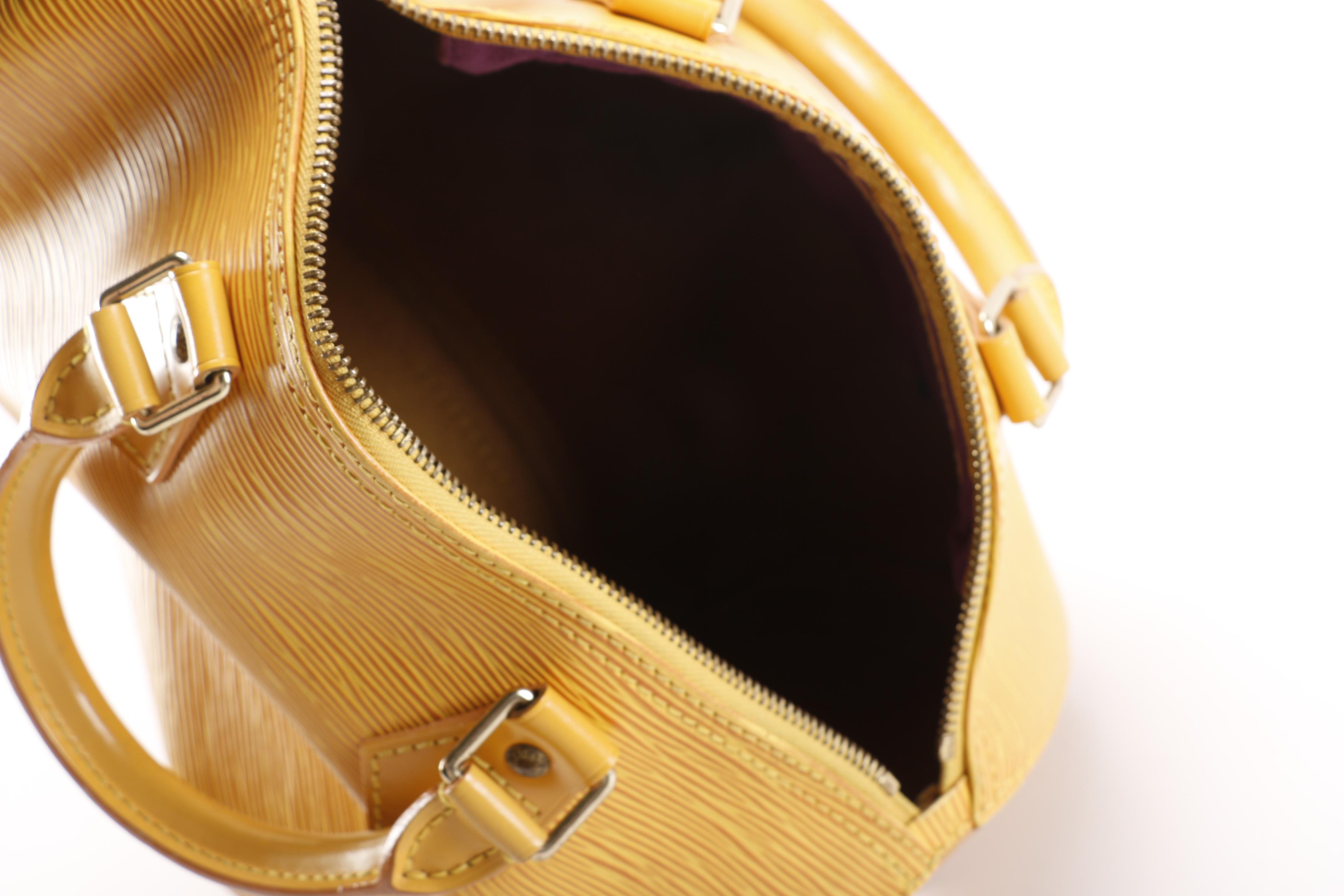 Louis Vuitton Epi Speedy 25 Handbag