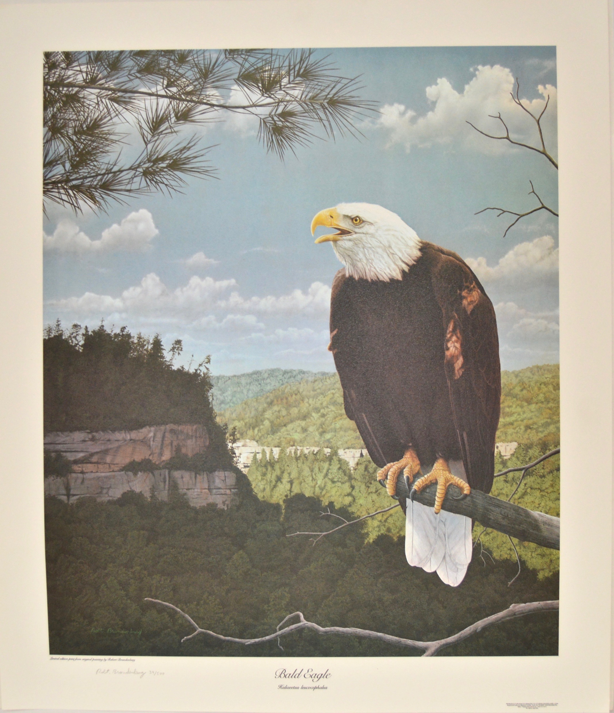 Robert Brandenburg Signed, Numbered "American Eagle" Print