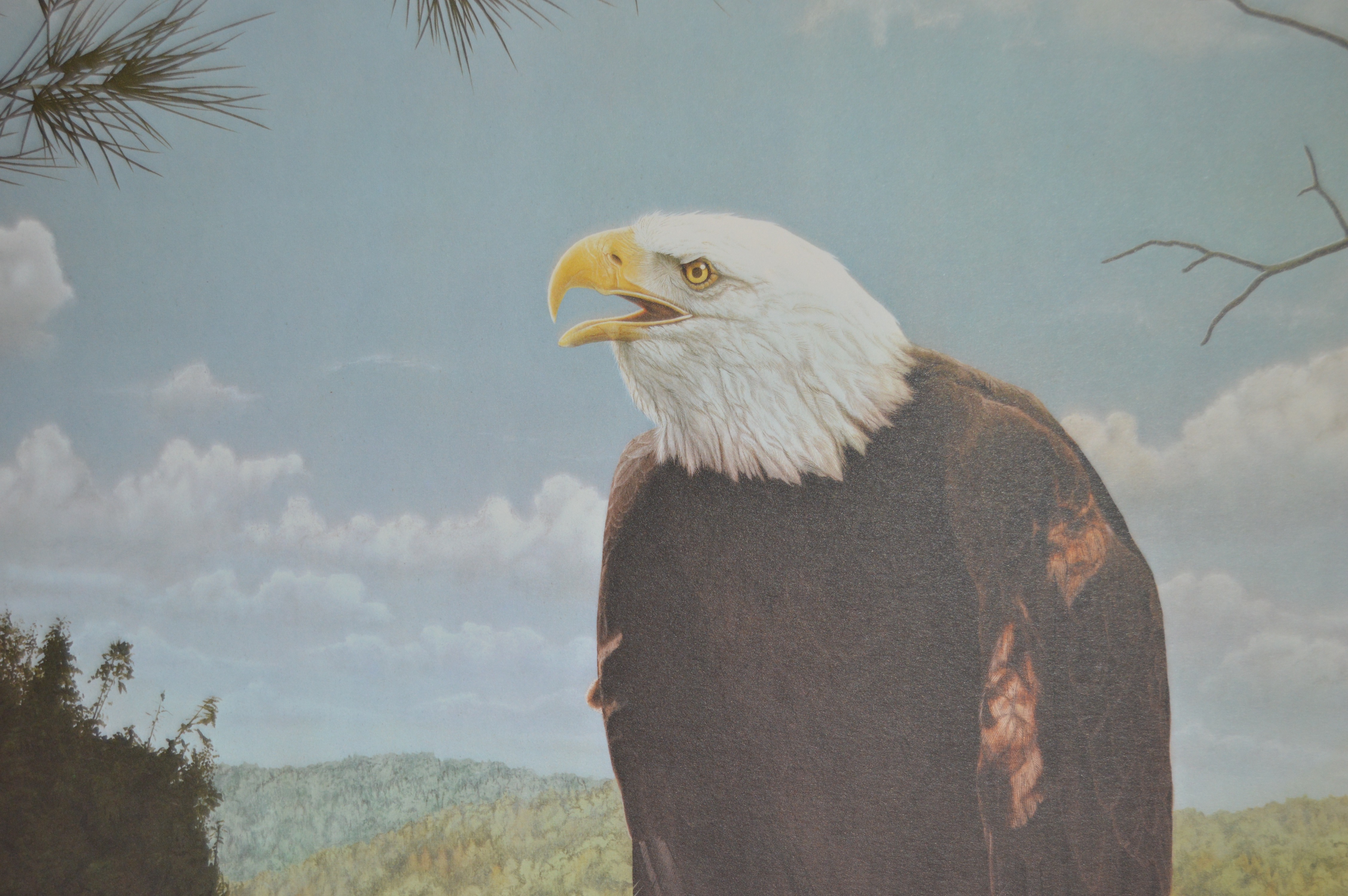 Robert Brandenburg Signed, Numbered "American Eagle" Print