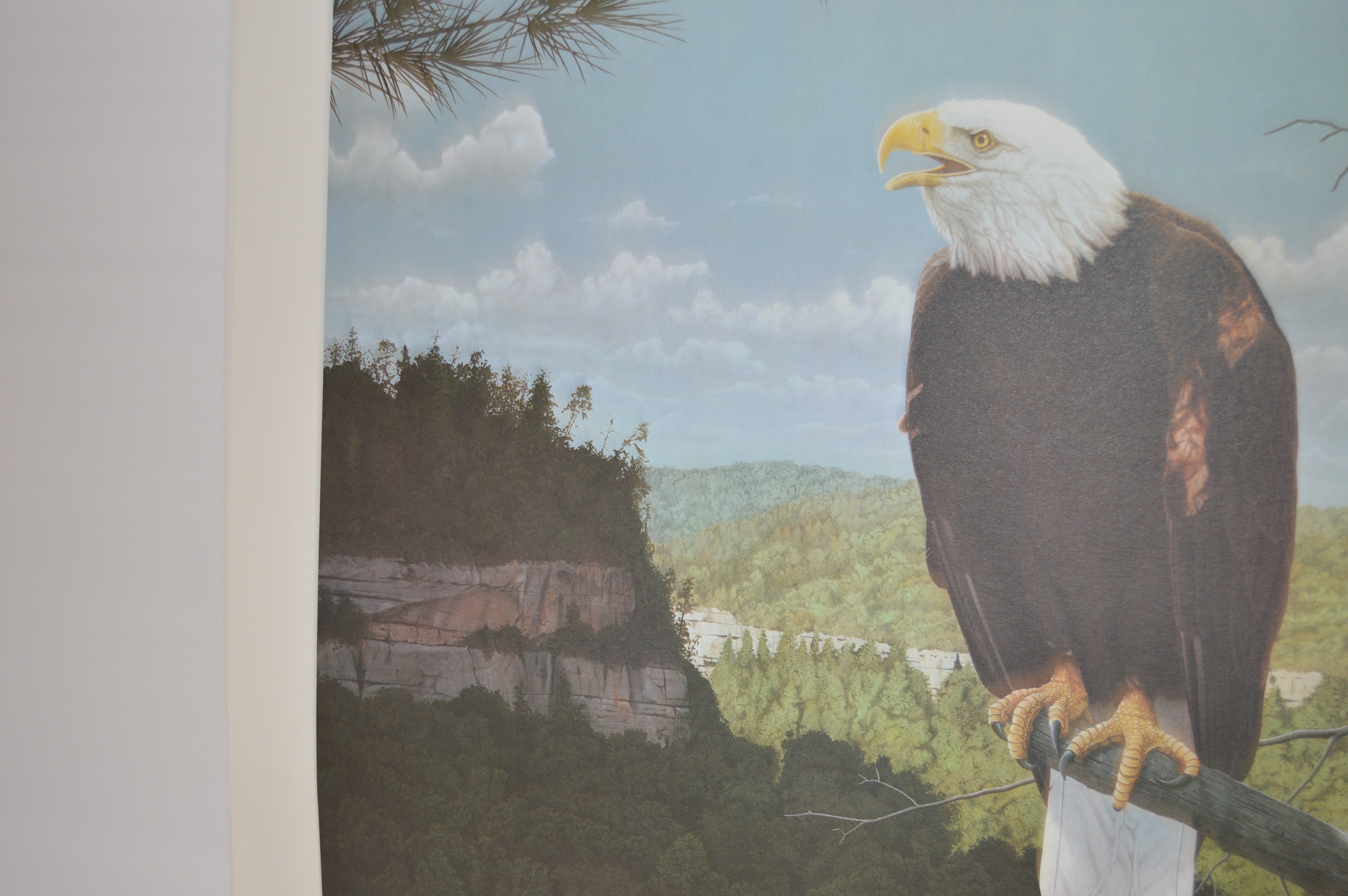 Robert Brandenburg Signed, Numbered "American Eagle" Print