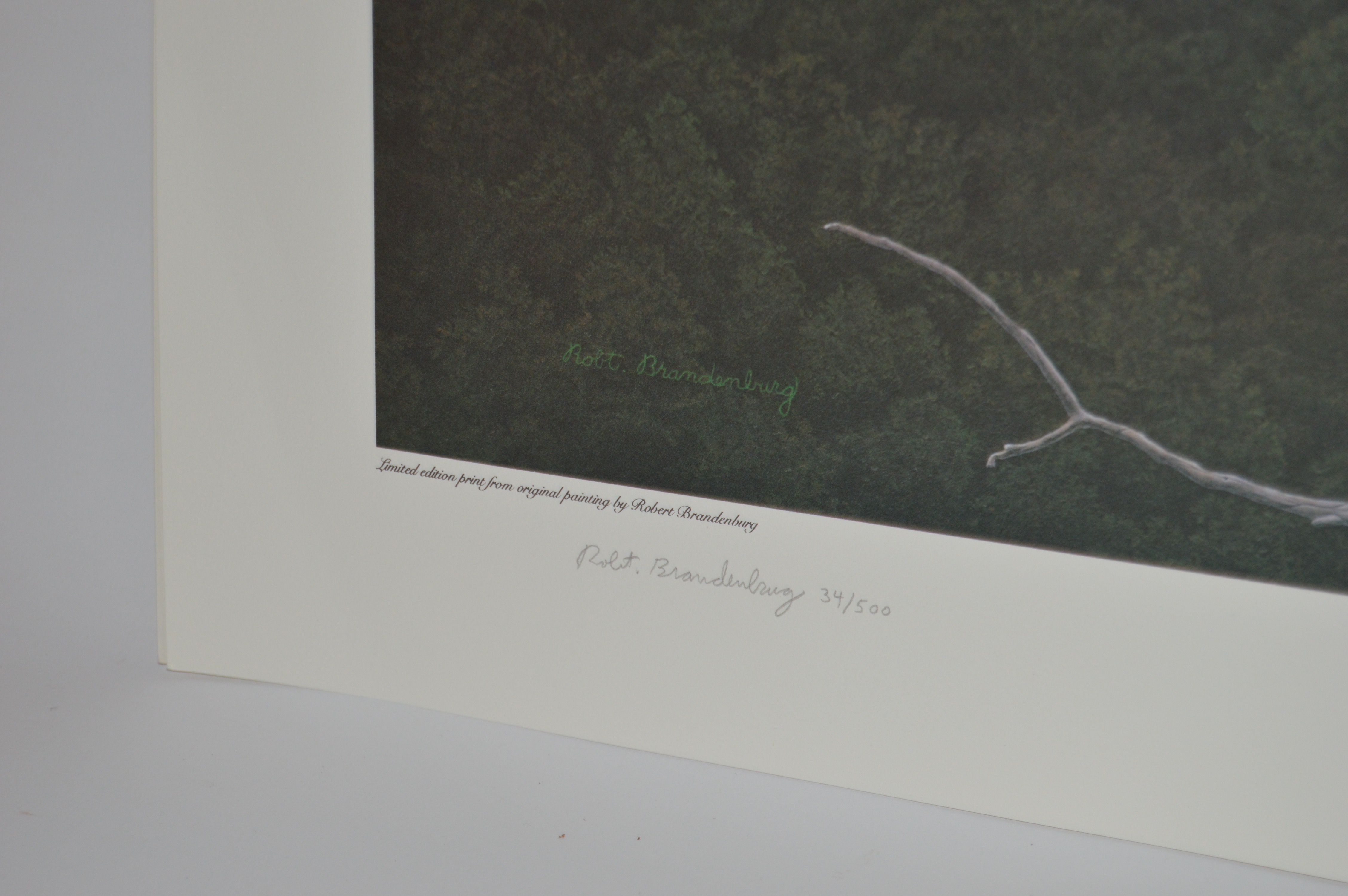 Robert Brandenburg Signed, Numbered "American Eagle" Print