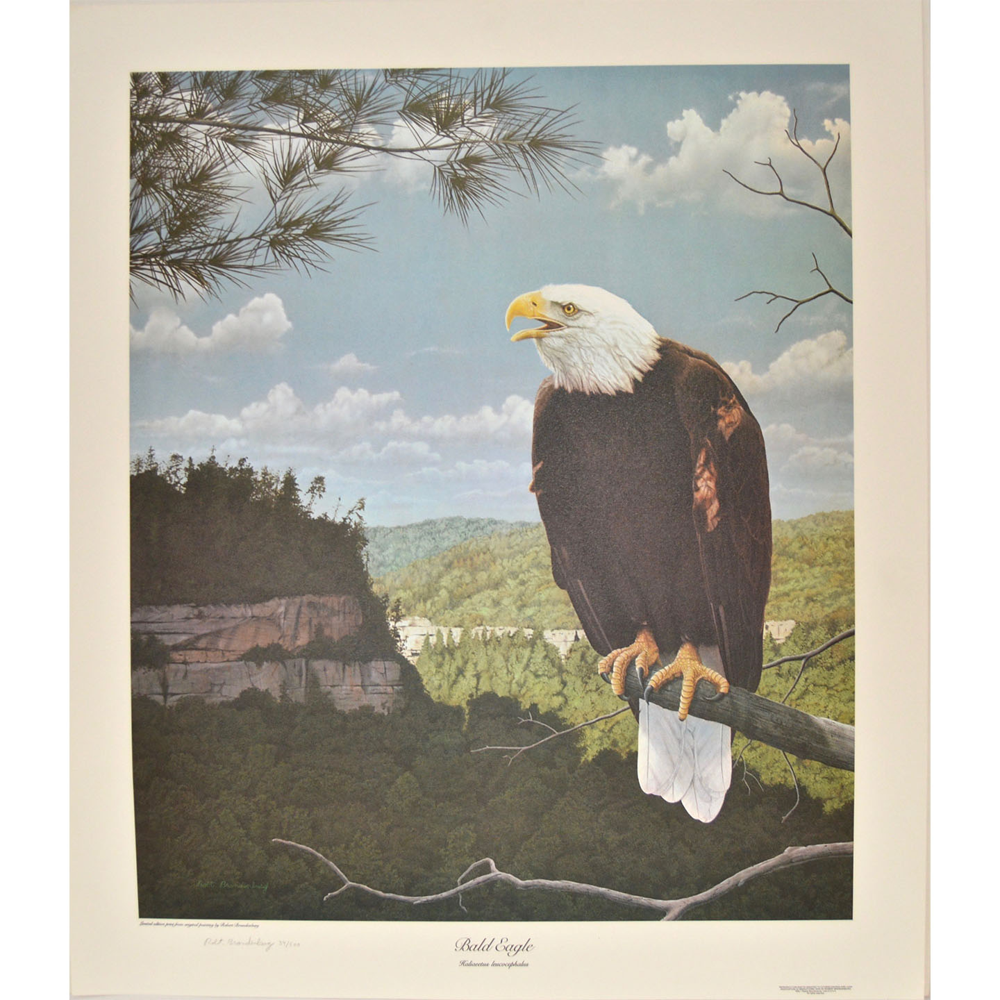 Robert Brandenburg Signed, Numbered "American Eagle" Print