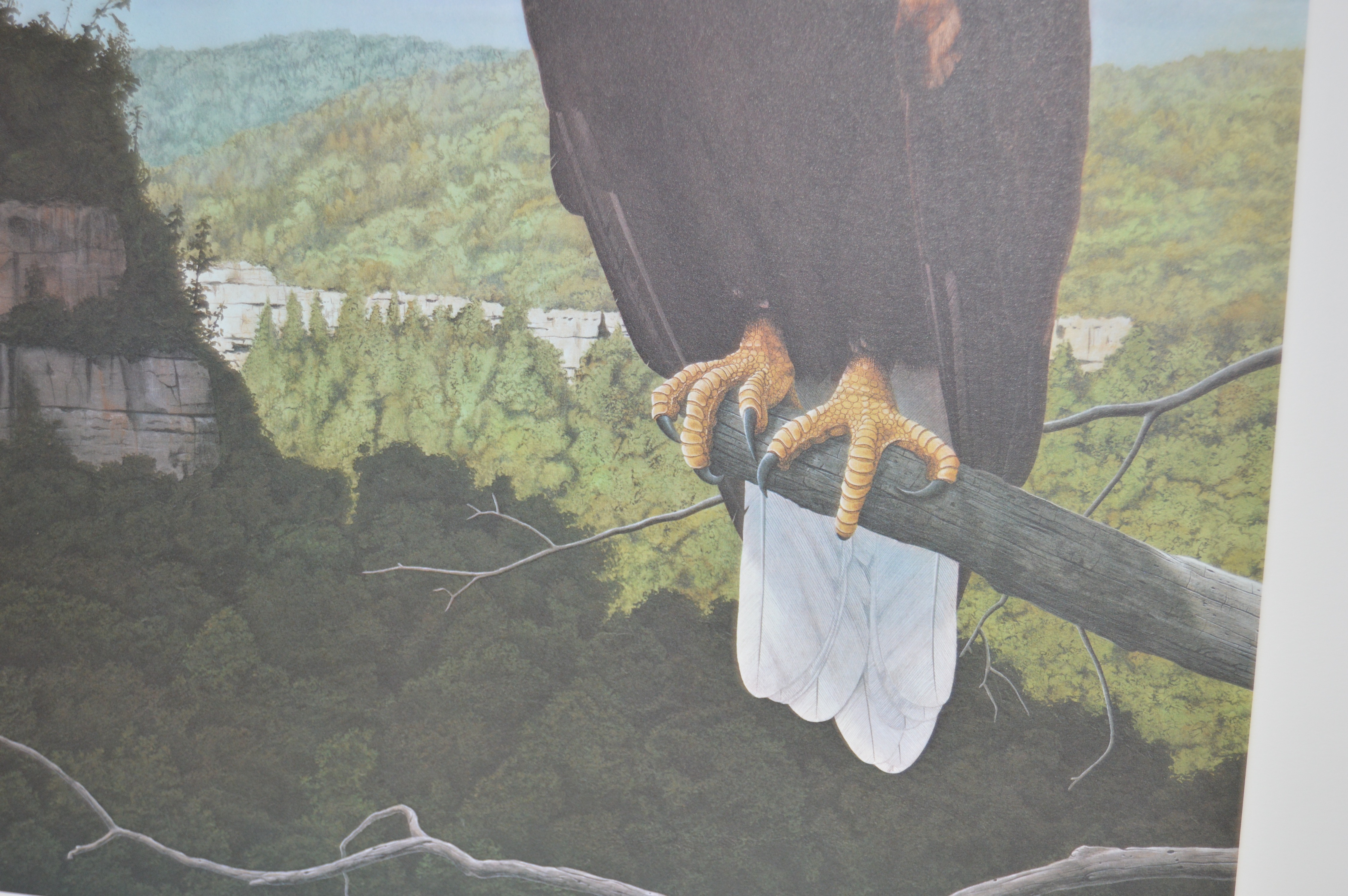 Robert Brandenburg Signed, Numbered "American Eagle" Print