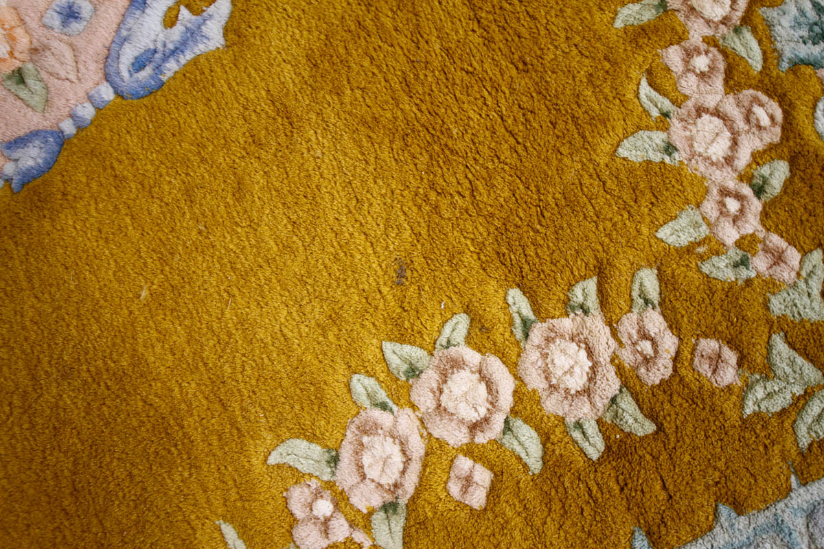 Power Loomed Carved Aubusson-Style Area Rug