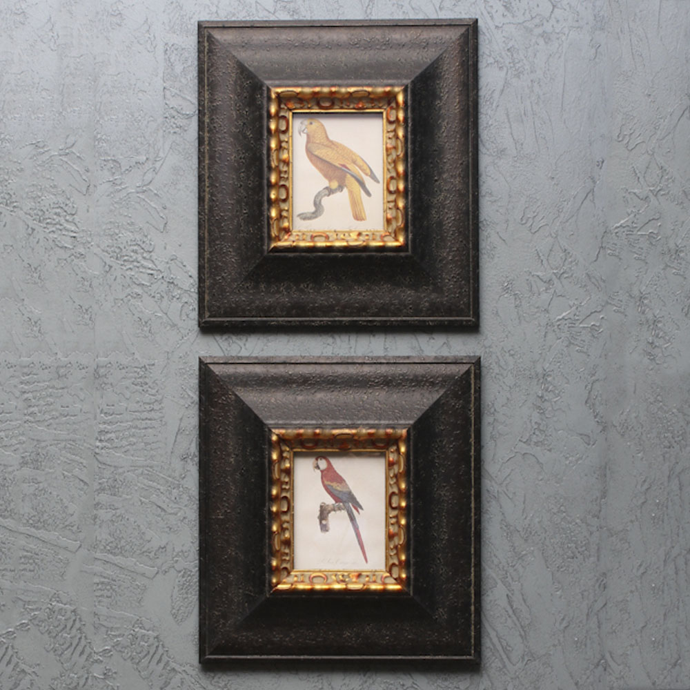 Pair of Offset Lithograph Parrot Prints