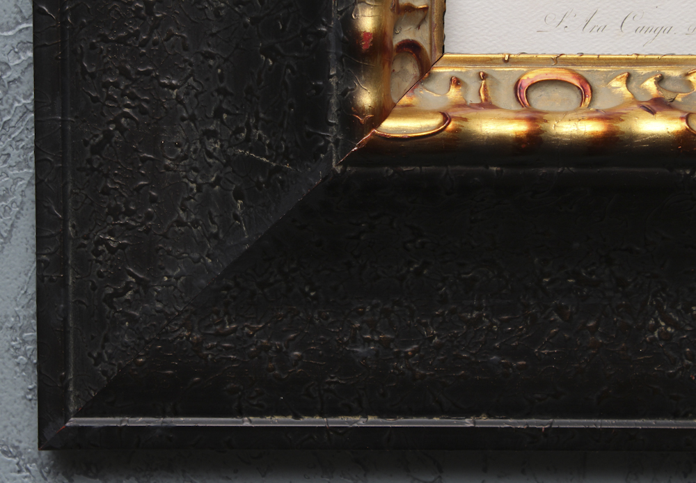 Pair of Offset Lithograph Parrot Prints