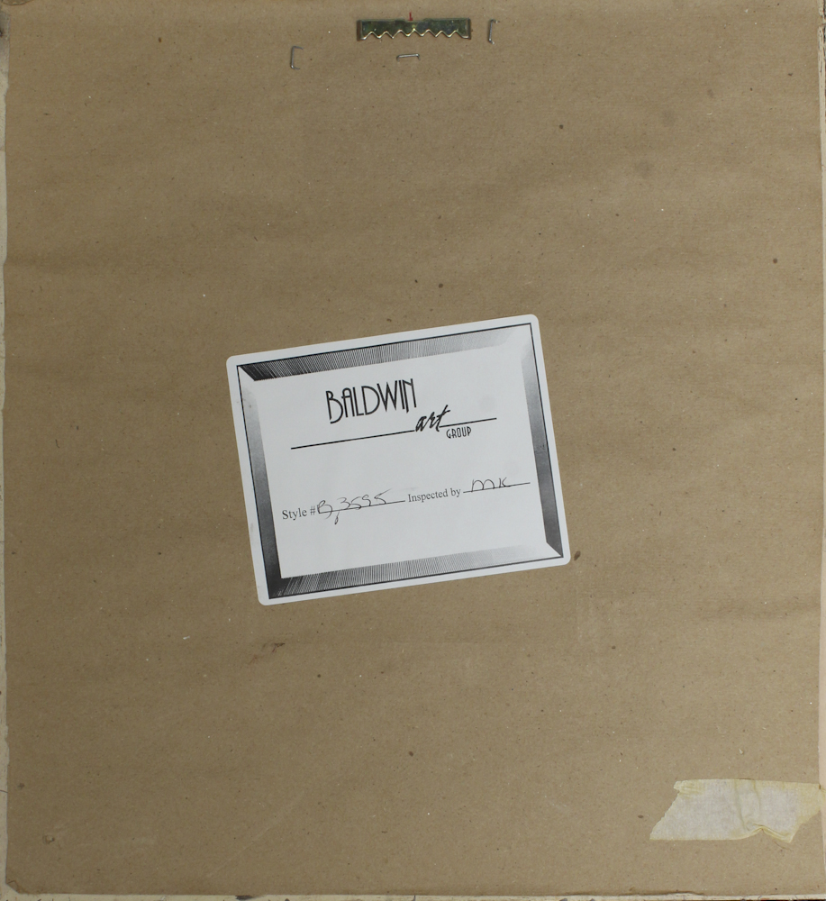 Pair of Offset Lithograph Parrot Prints