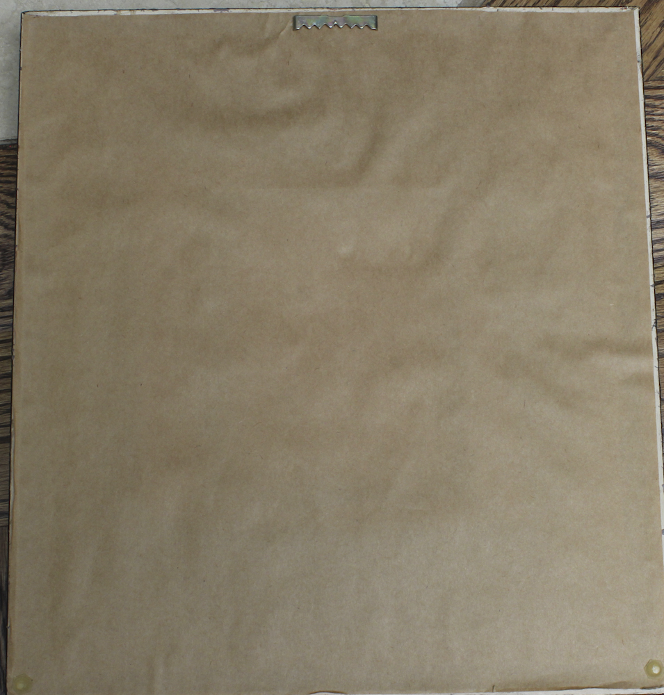 Pair of Offset Lithograph Parrot Prints