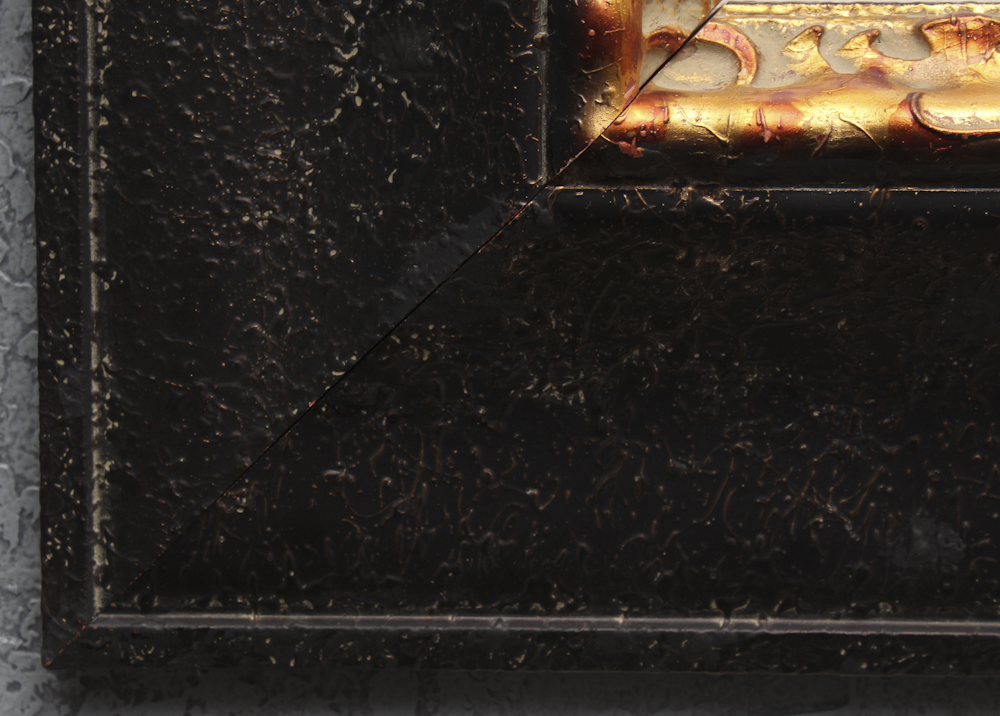 Pair of Offset Lithograph Parrot Prints