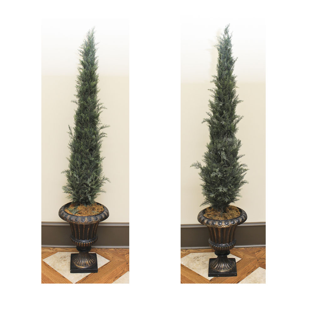 Pair of Silk Fir Topiary Urns