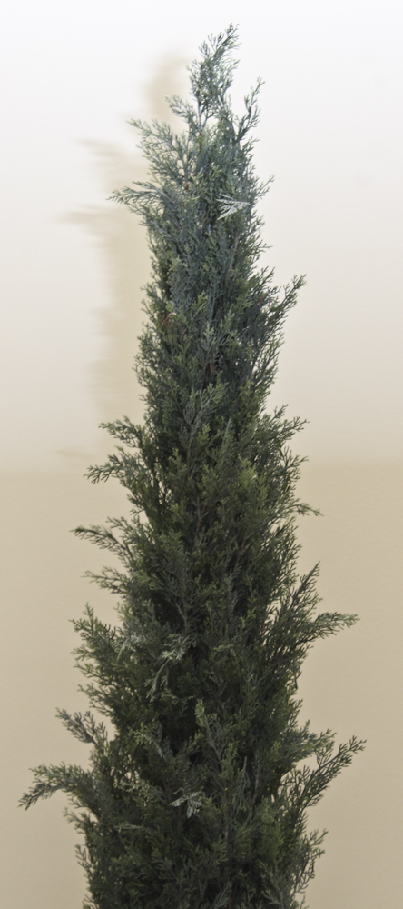 Pair of Silk Fir Topiary Urns