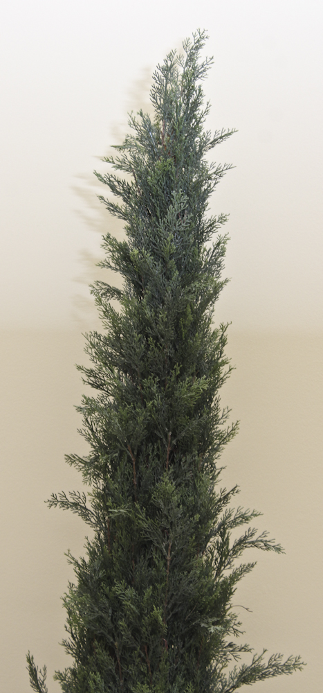 Pair of Silk Fir Topiary Urns