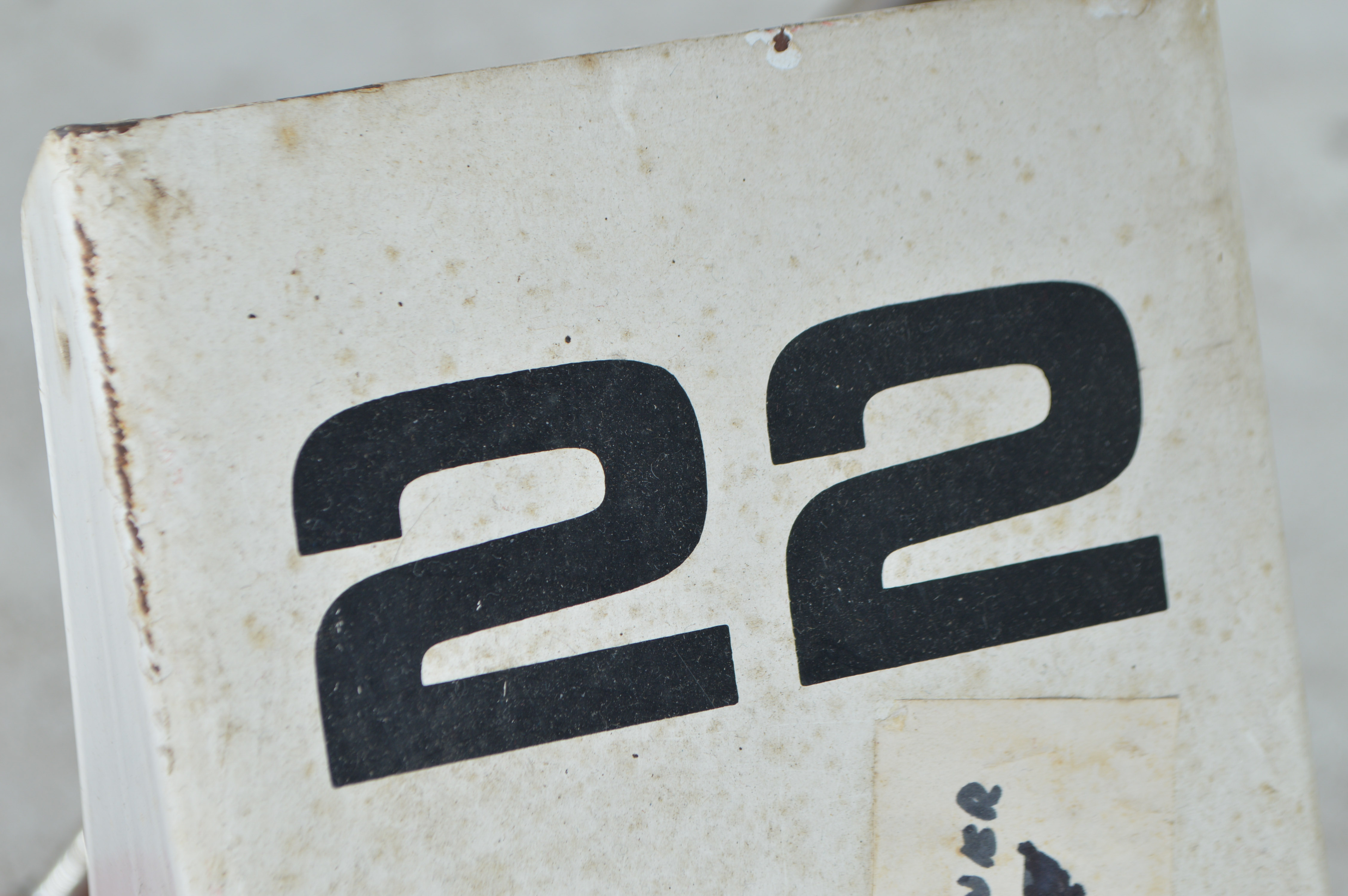 Sunbeam Snow Champ Electric Snow Blower