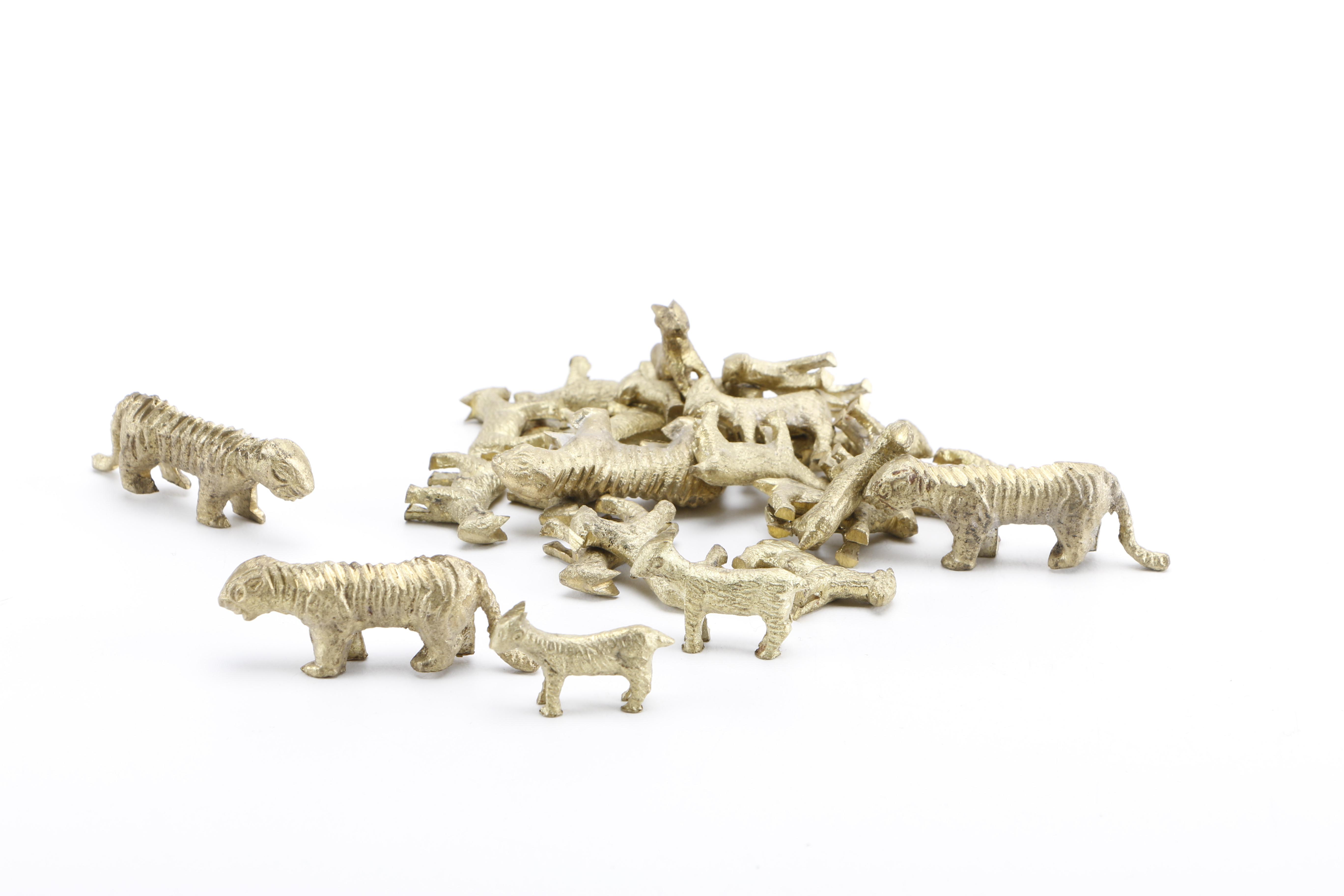 Nepal "Bagha Chal" Tiger Moving Game