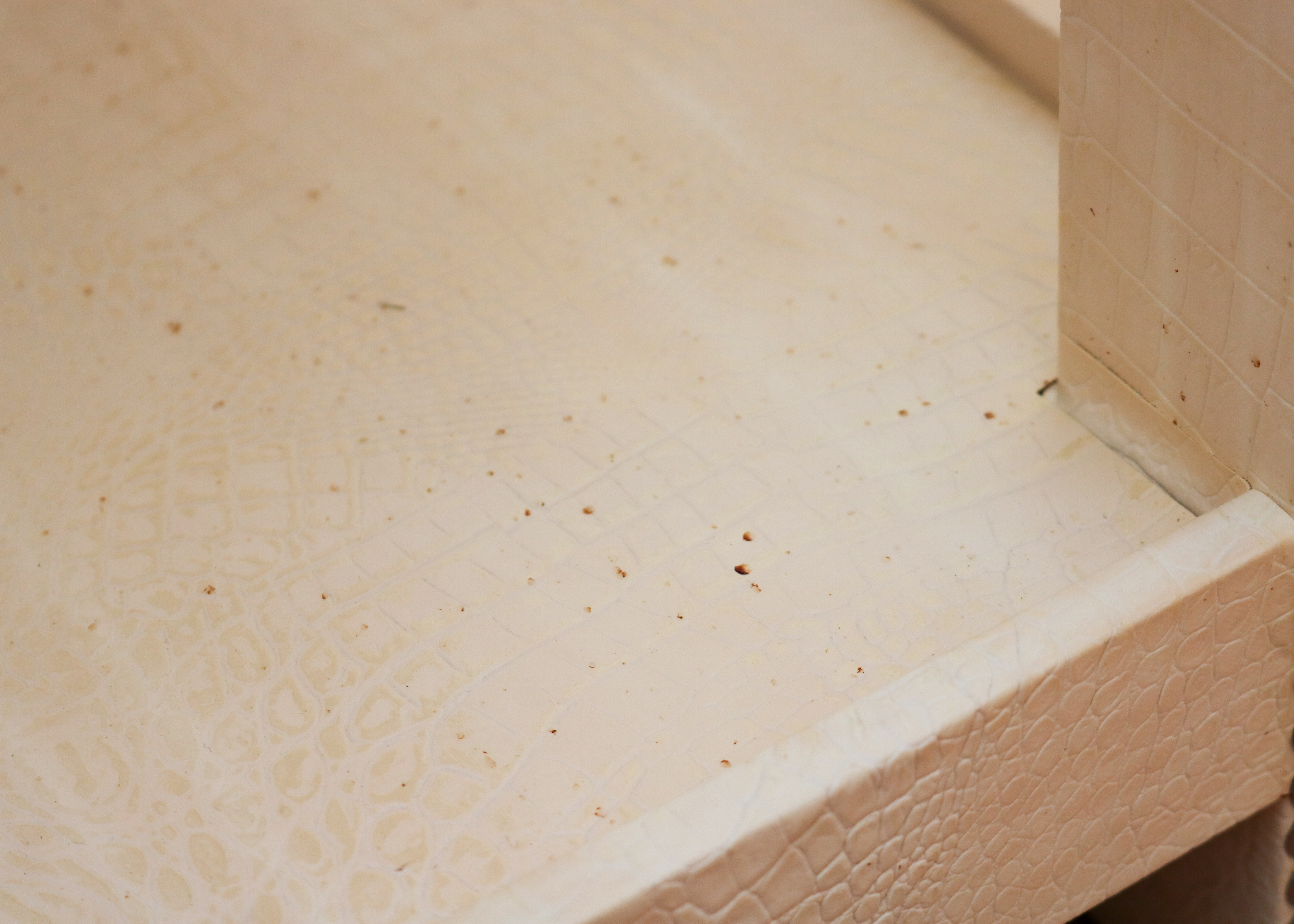 Faux Crocodile Side Tables by Dransfield & Ross