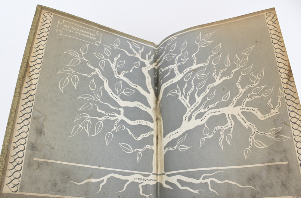 1967 Vintage "Webster's Dictionary"