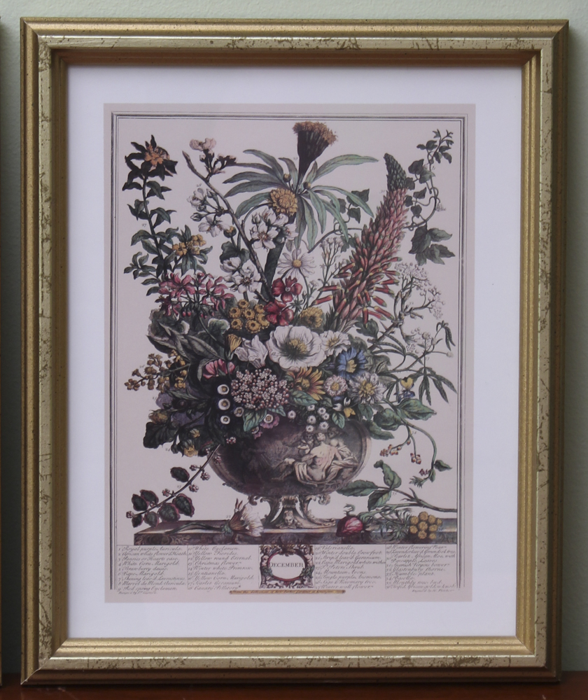 Offset Lithographs of Robert Furber "Twelve Months of Flowers"