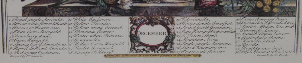 Offset Lithographs of Robert Furber "Twelve Months of Flowers"