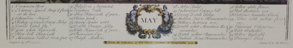 Offset Lithographs of Robert Furber "Twelve Months of Flowers"