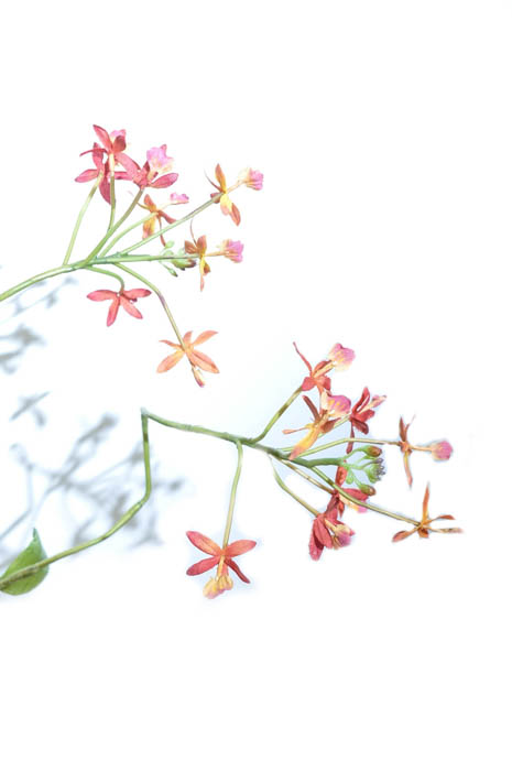 Footed Urn With Decorative Silk Flower And Fruit Arrangement