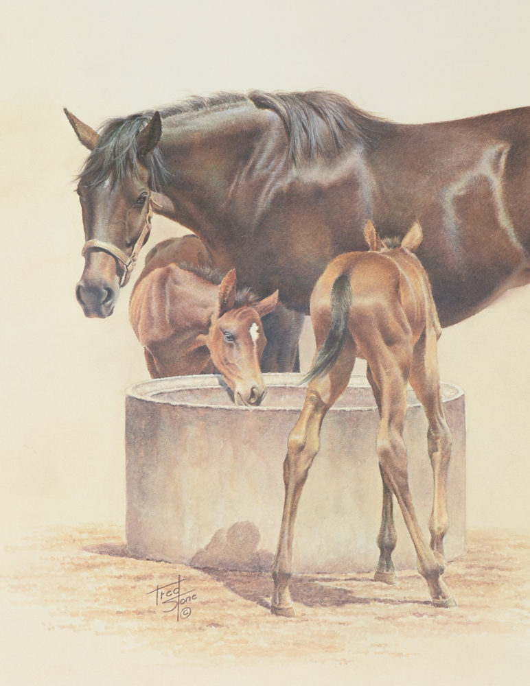 Fred Stone Signed Limited Edition Offset Lithograph "The Water Trough"