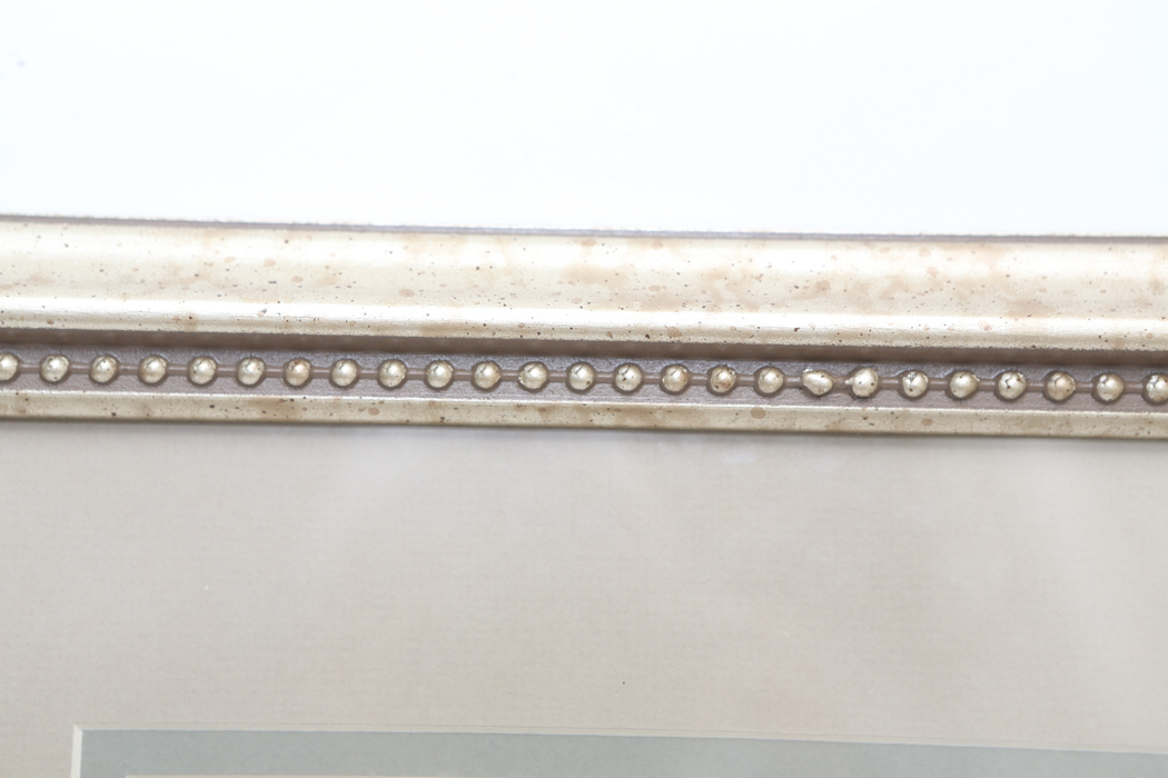 Pair of Joan Cole Floral Prints