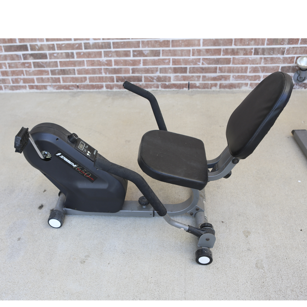 1650 Dual Action Recumbant Bike by Stamina