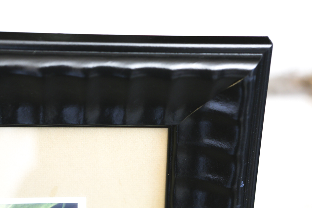 Framed Print of a Tiger