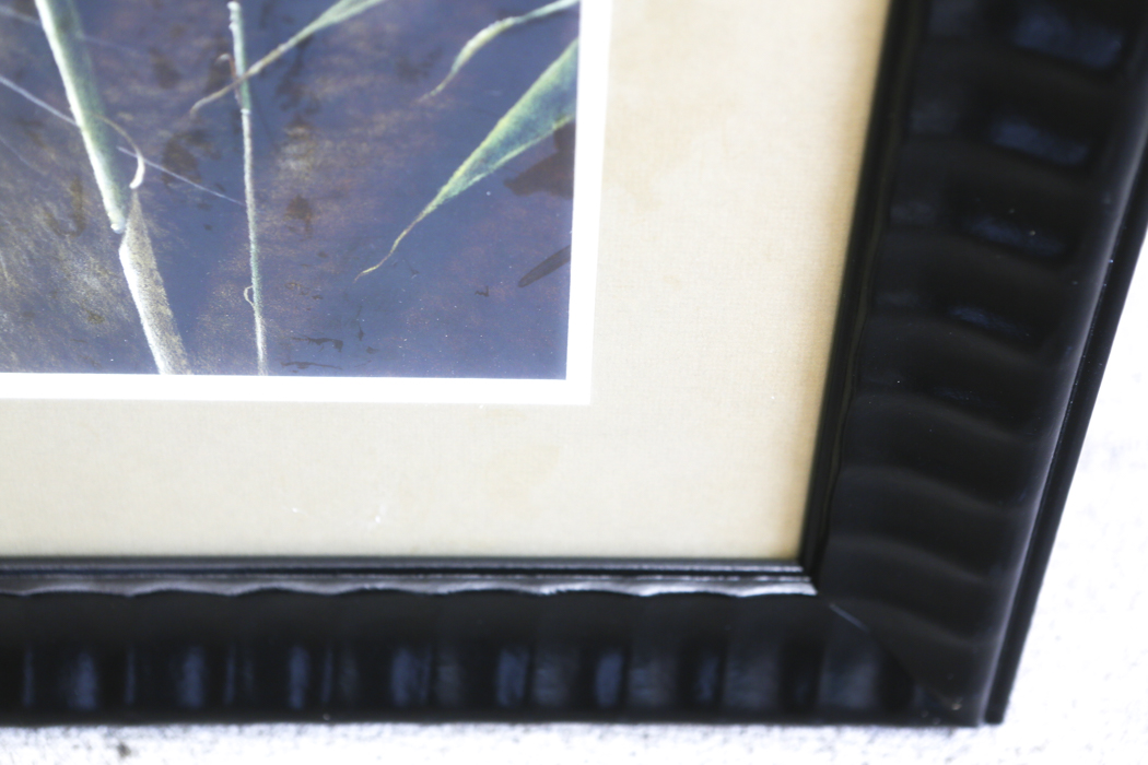 Framed Print of a Tiger