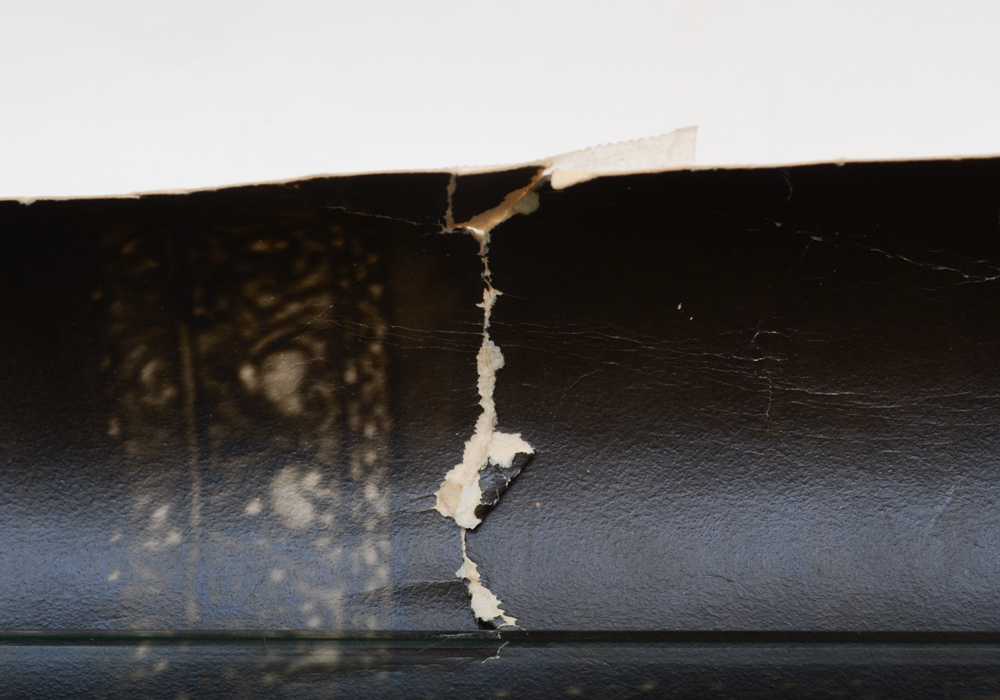 Photographic Poster of FDR and Family