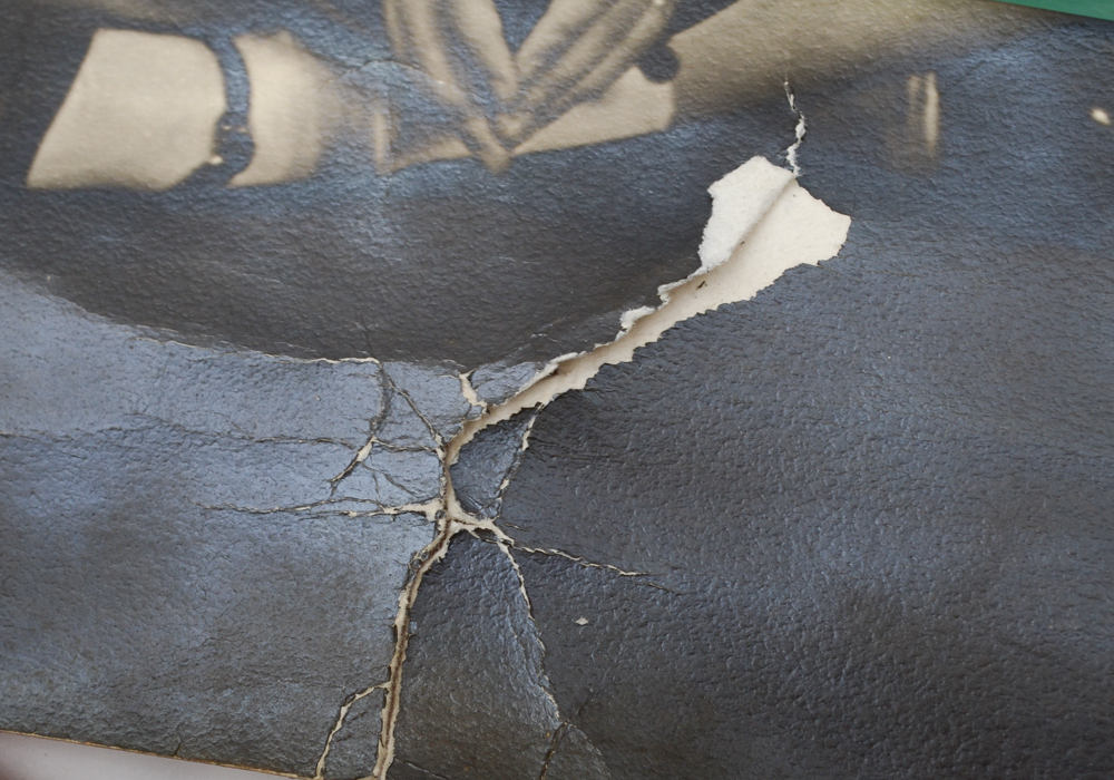 Photographic Poster of FDR and Family