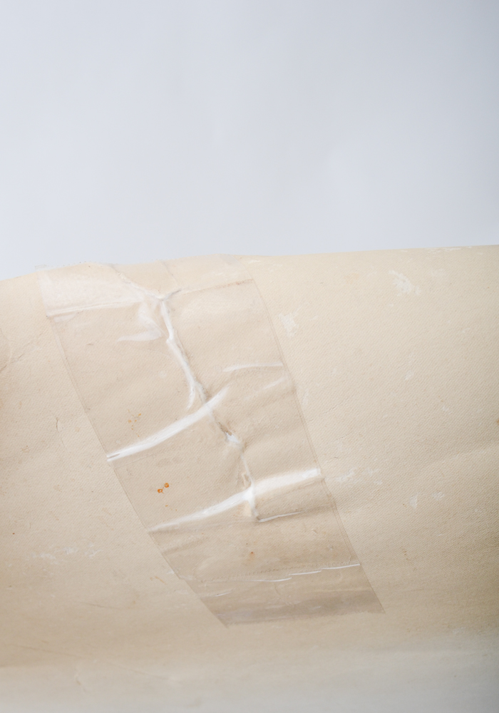 Photographic Poster of FDR and Family