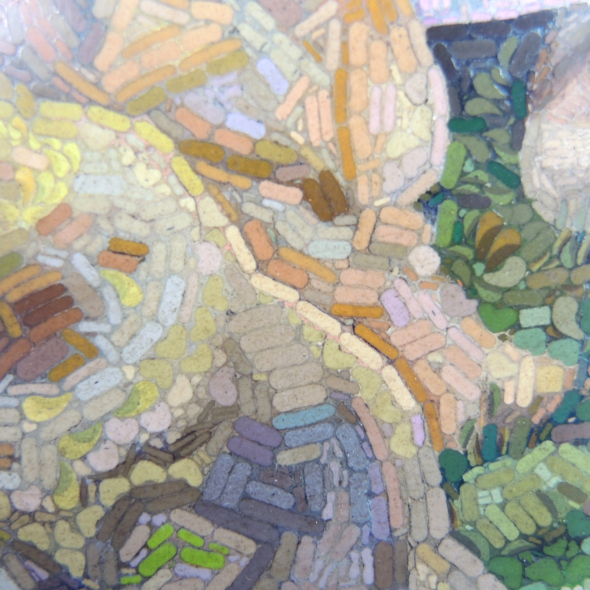 19th Century Studio Del Mosaico Micro Mosaic