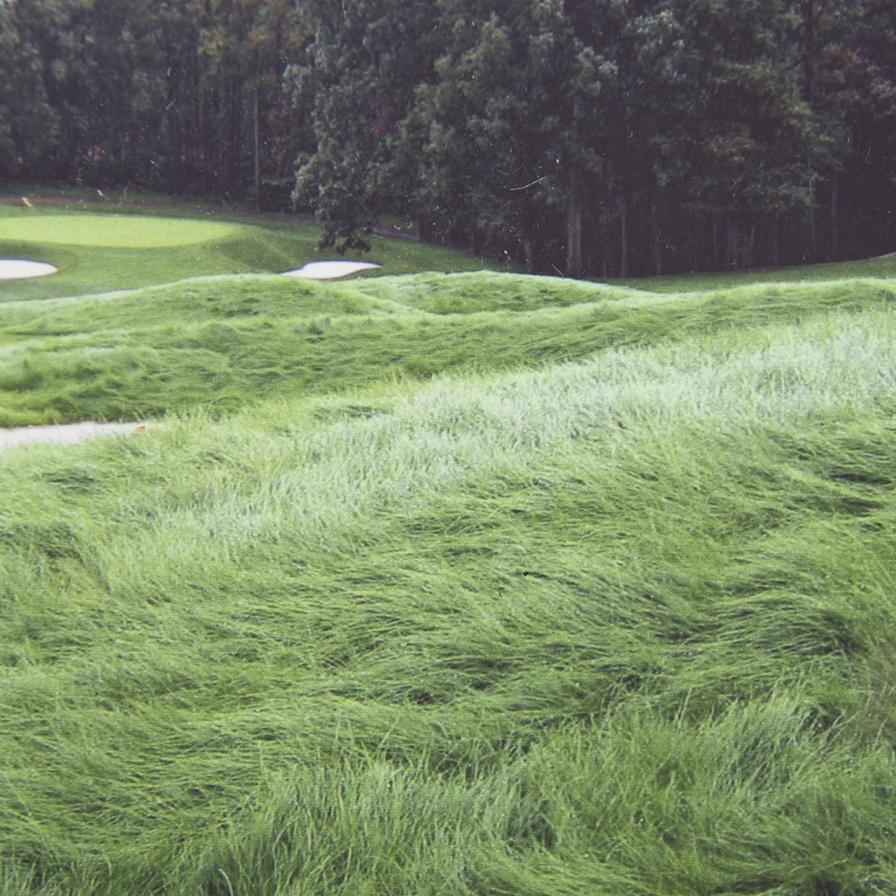 Maryland Country Club and Golf Collection of Crystal and Memorabilia