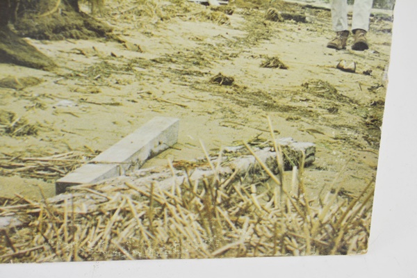 Signed Billy Joe Royal LP