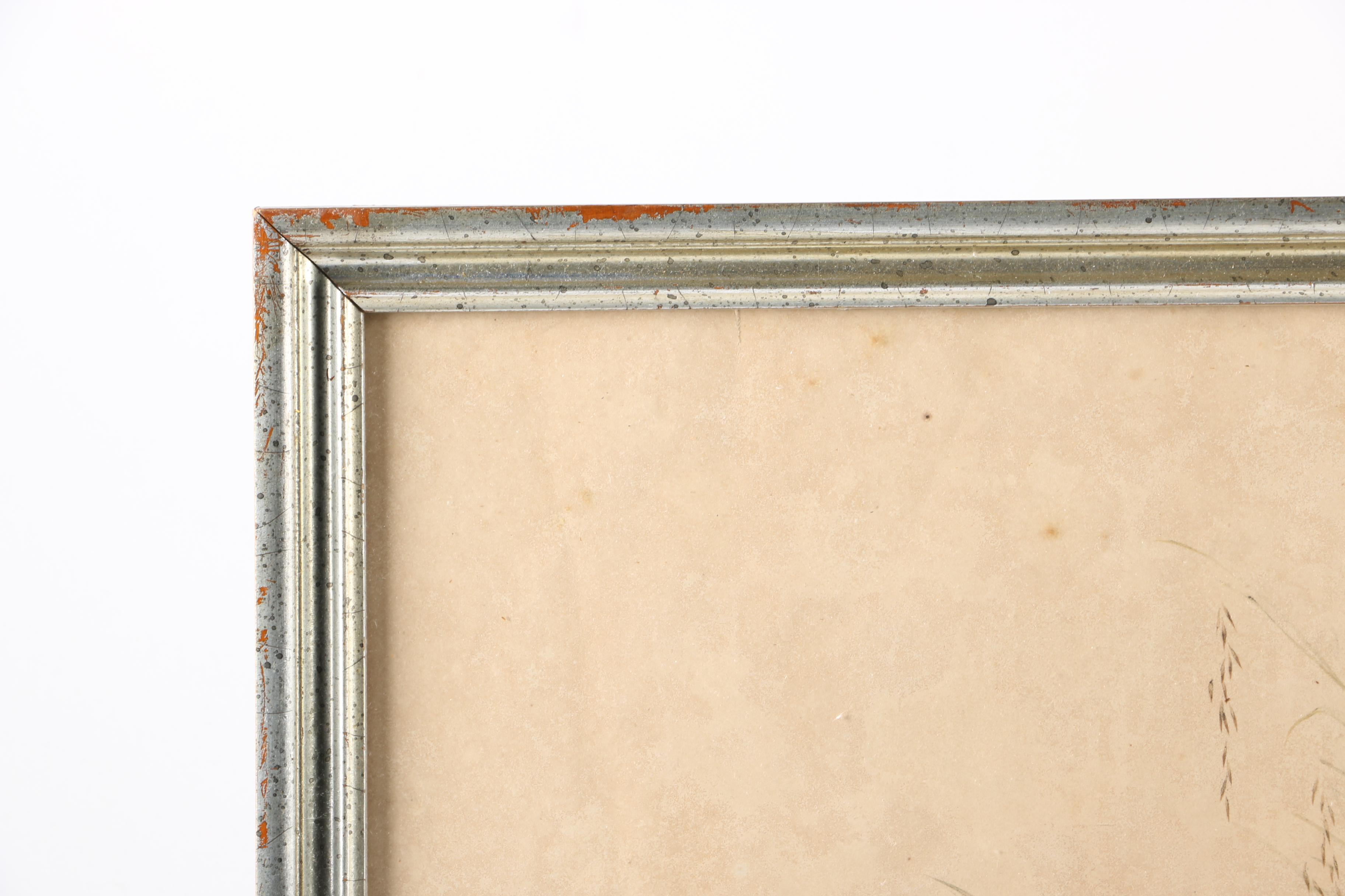 Gould Hand Colored Ornithological Lithograph "Hemipodius Pyrrothorax"