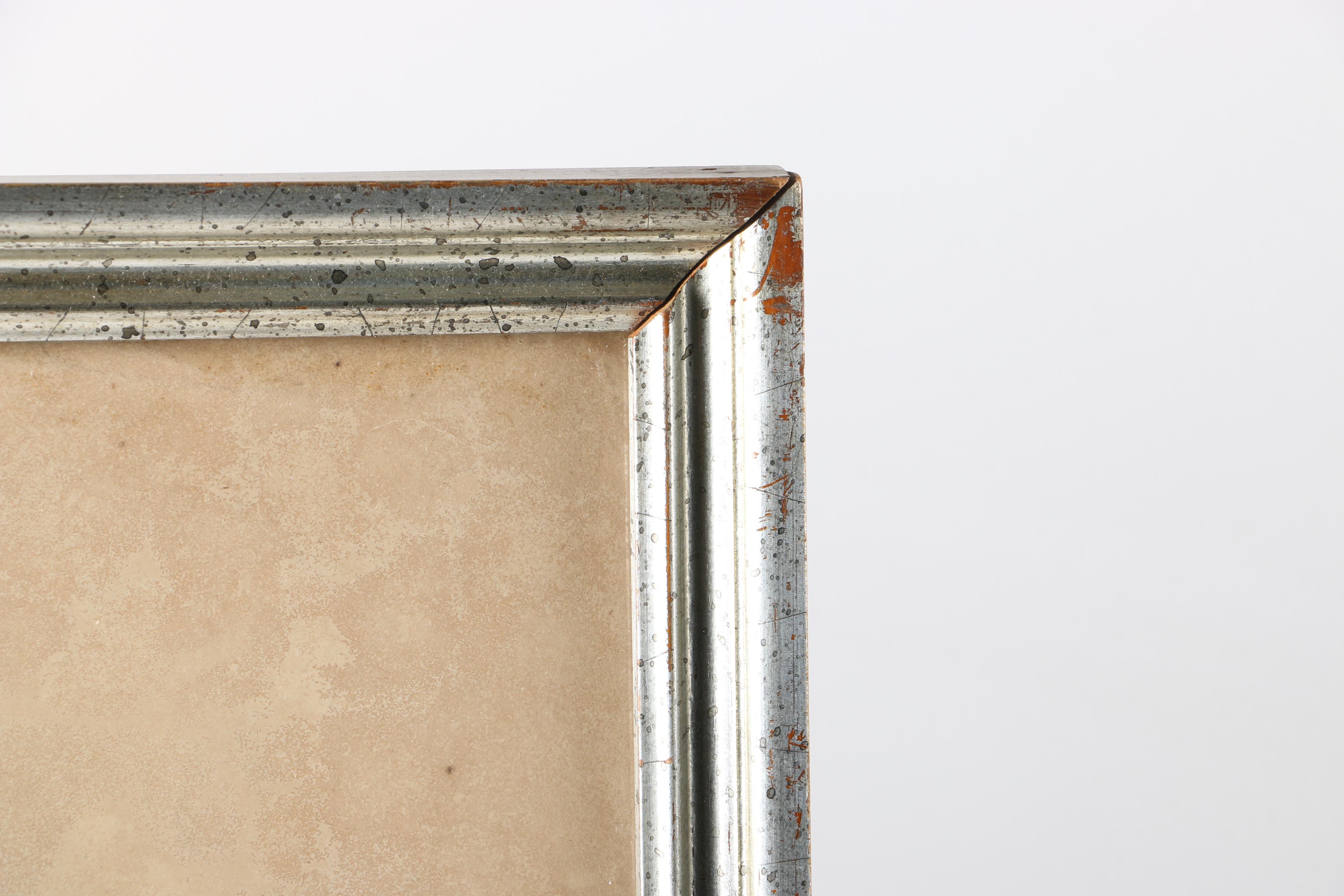 Elizabeth Gould Hand-Colored Lithograph "Hemipodius Velox"