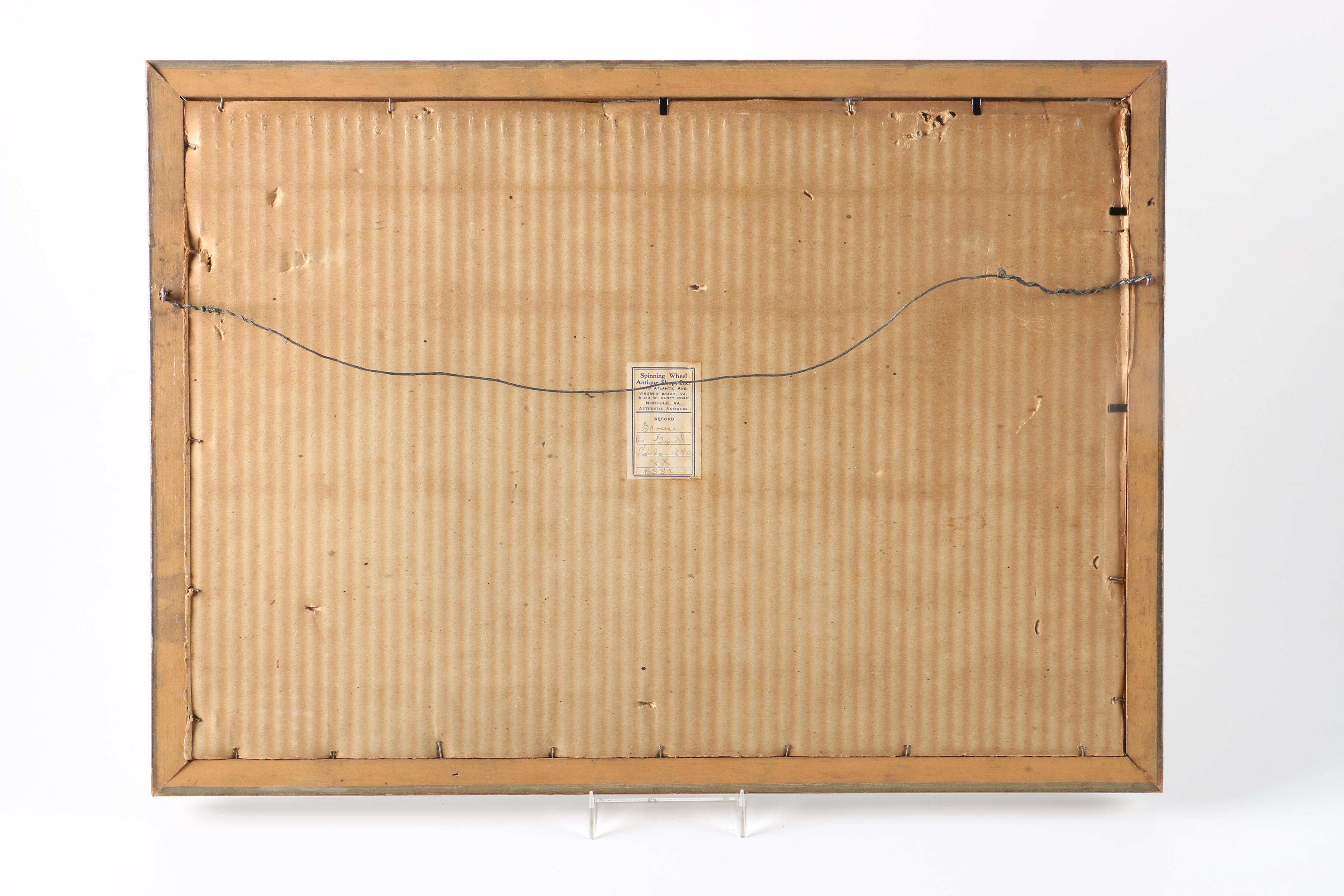 Elizabeth Gould Hand-Colored Lithograph "Hemipodius Velox"