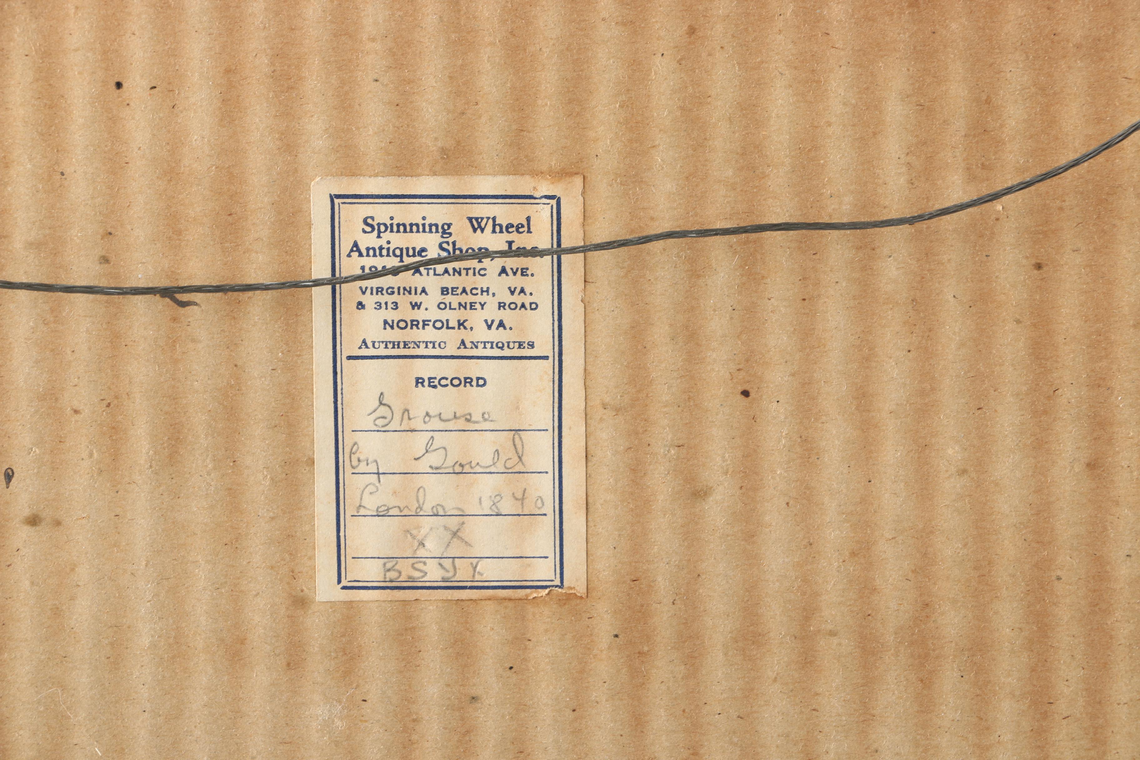 Elizabeth Gould Hand-Colored Lithograph "Hemipodius Velox"