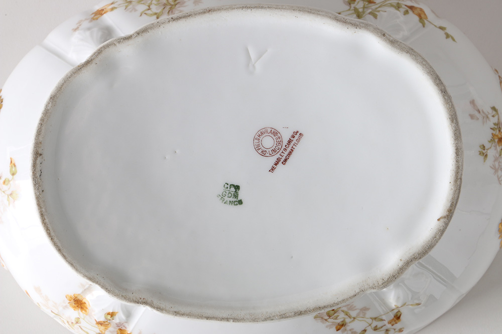 Haviland & Co. Tureen and Platter