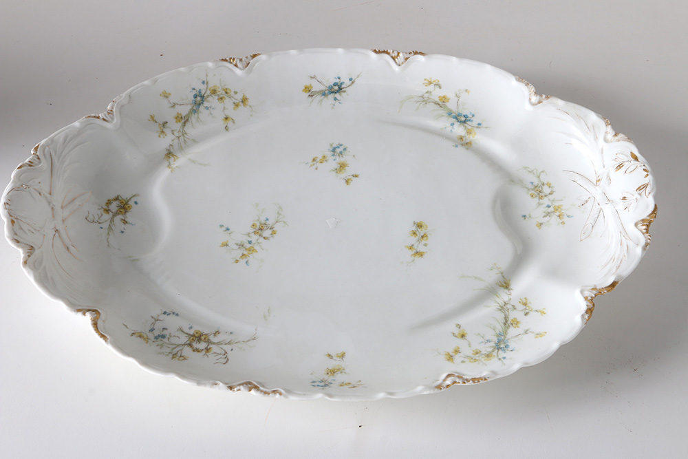 Haviland & Co. Tureen and Platter