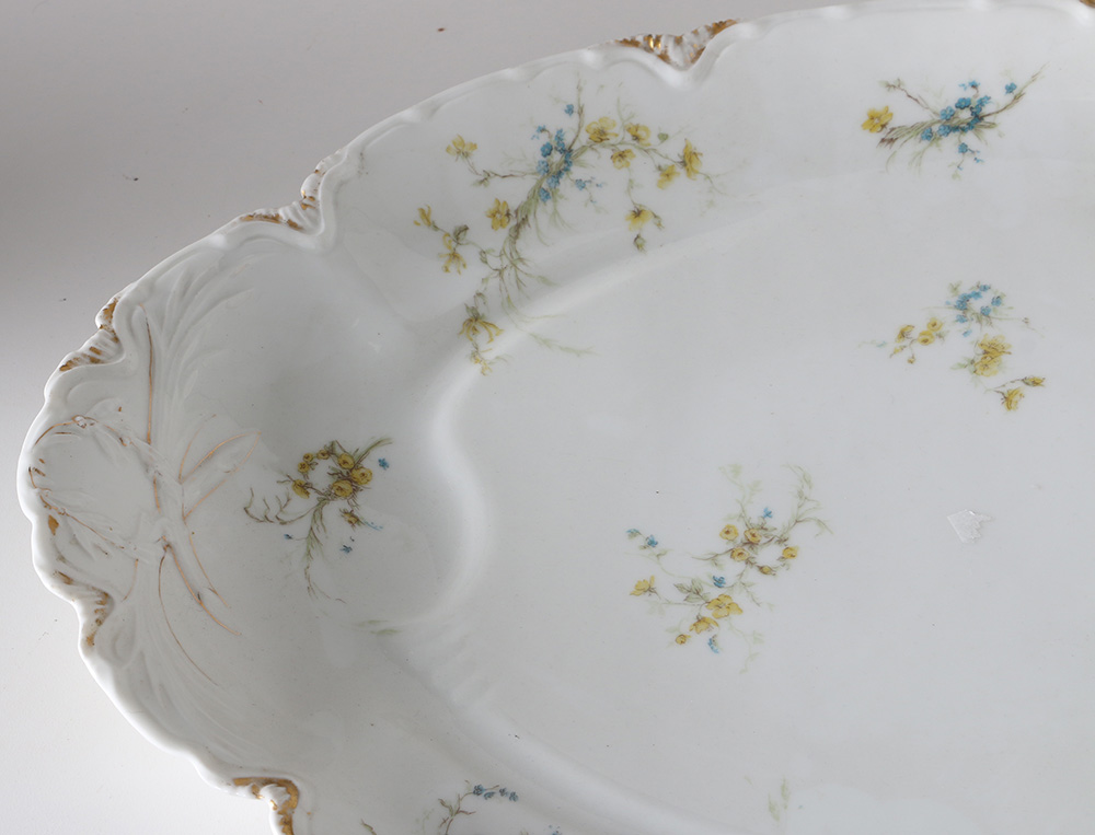 Haviland & Co. Tureen and Platter