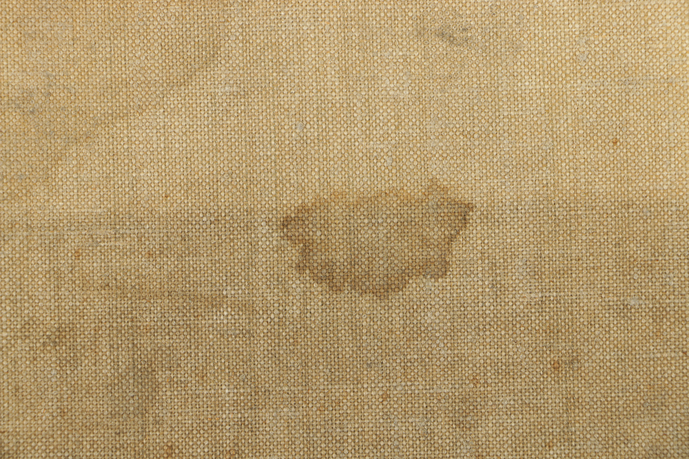 Emily B. Waite Oil Painting on Unstretched Canvas Still Life with Onions