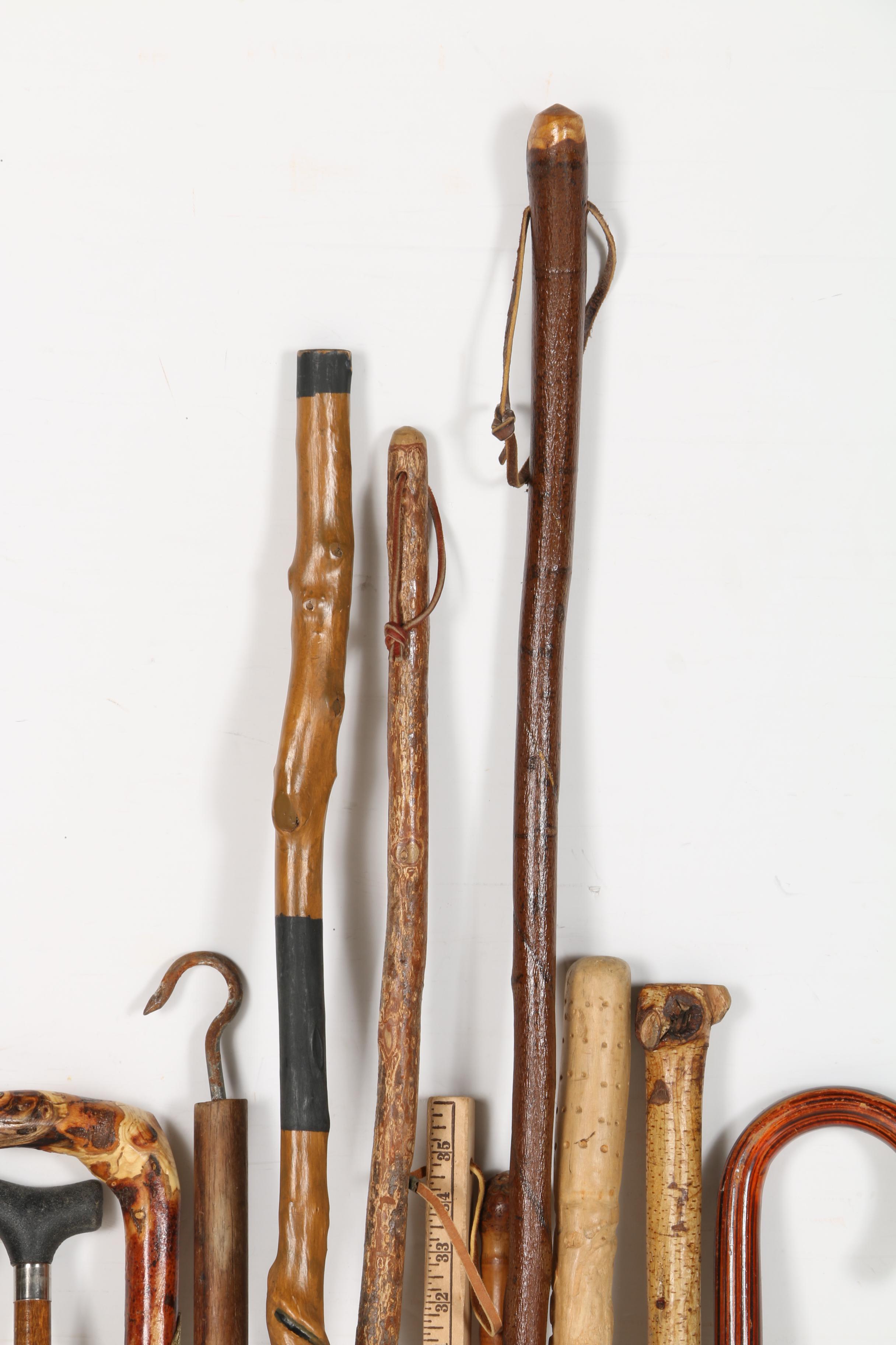 Canes and Walking Sticks