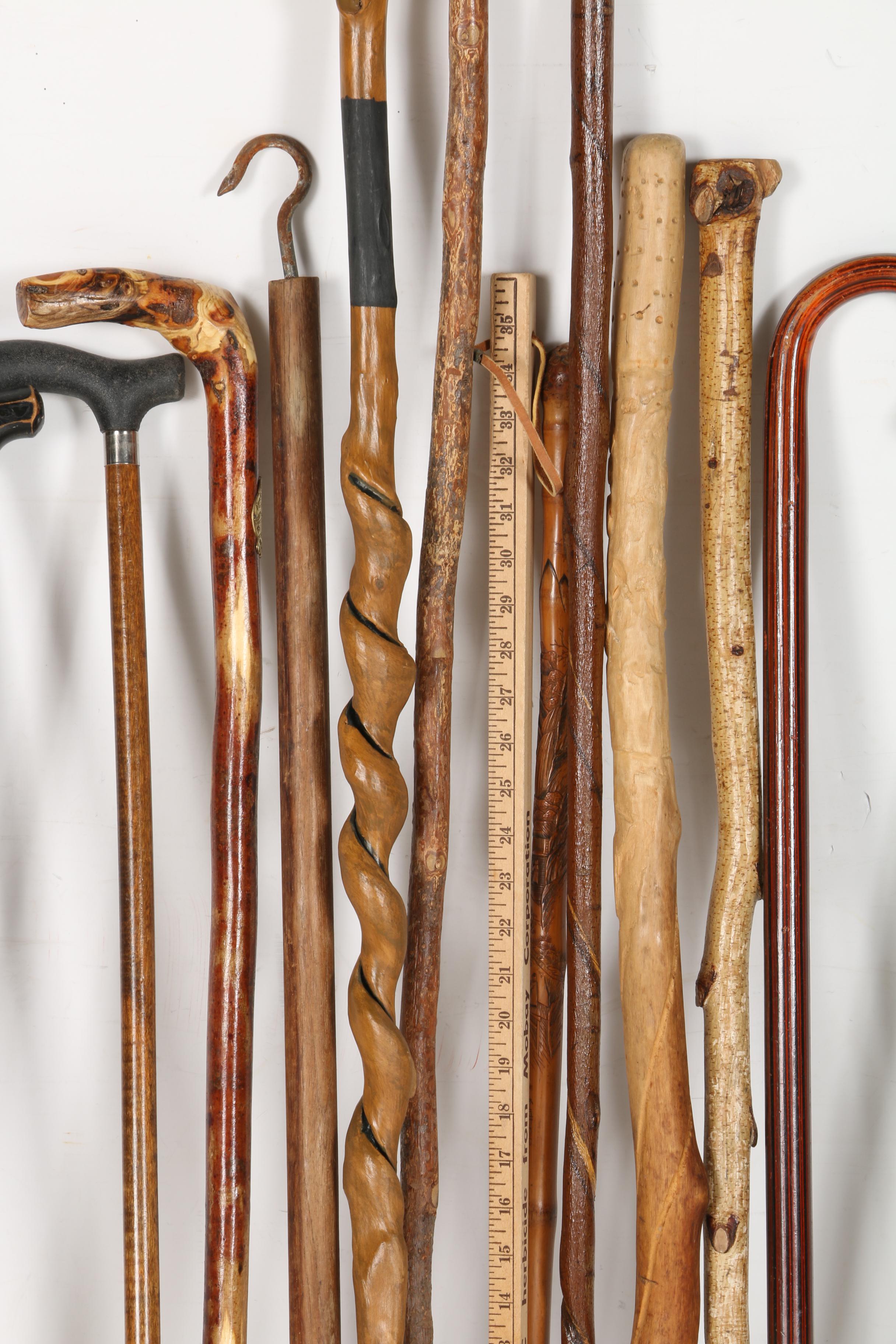 Canes and Walking Sticks