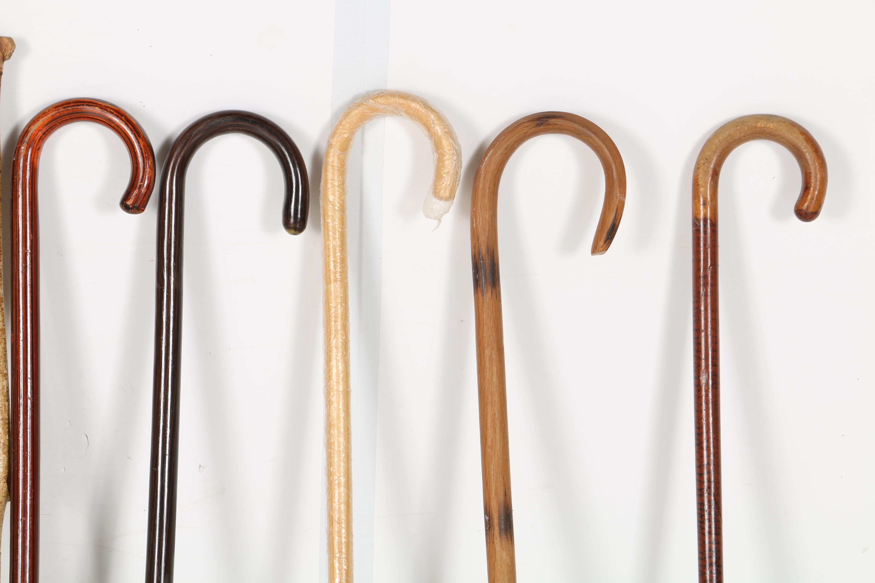 Canes and Walking Sticks