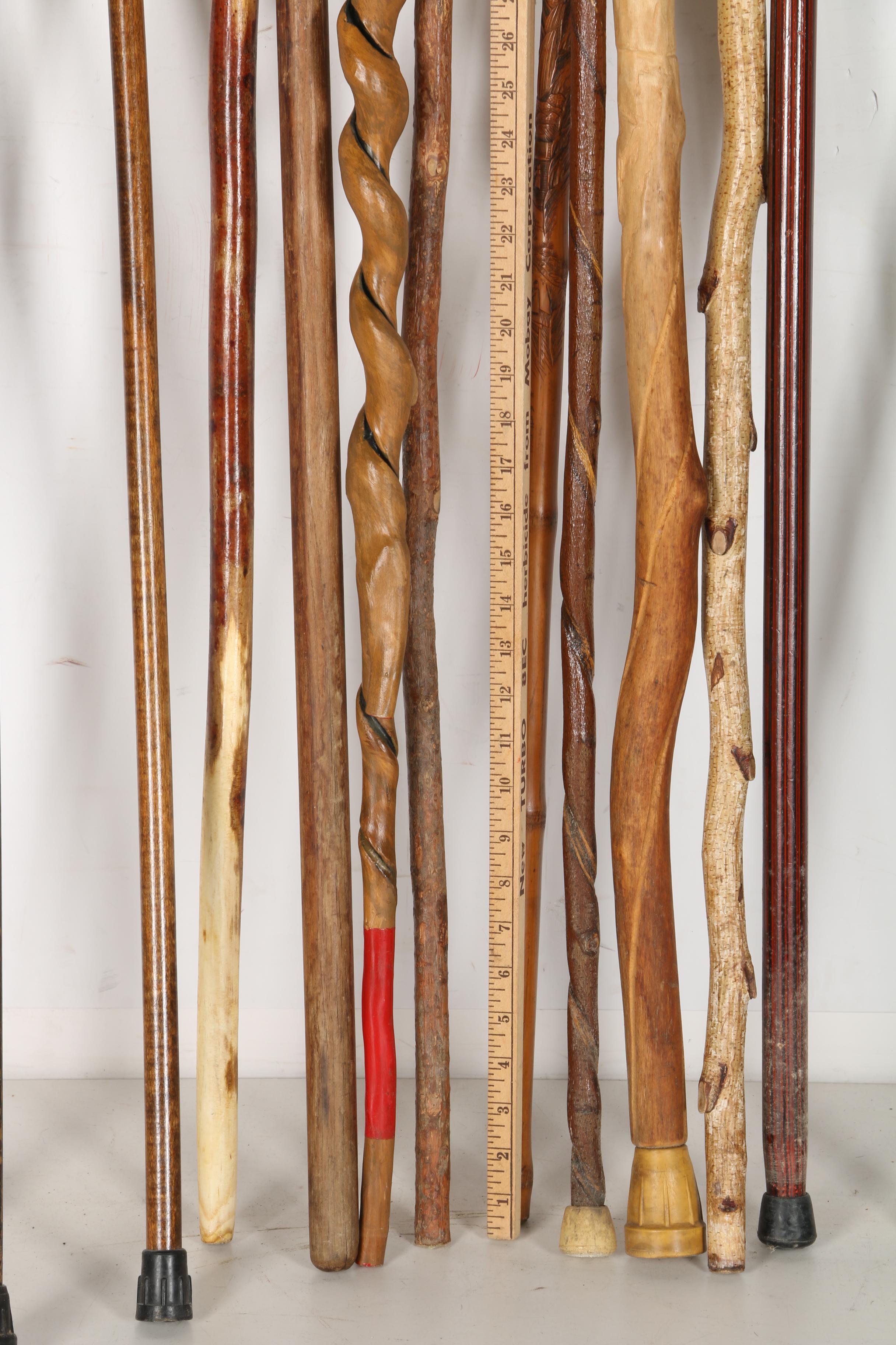 Canes and Walking Sticks