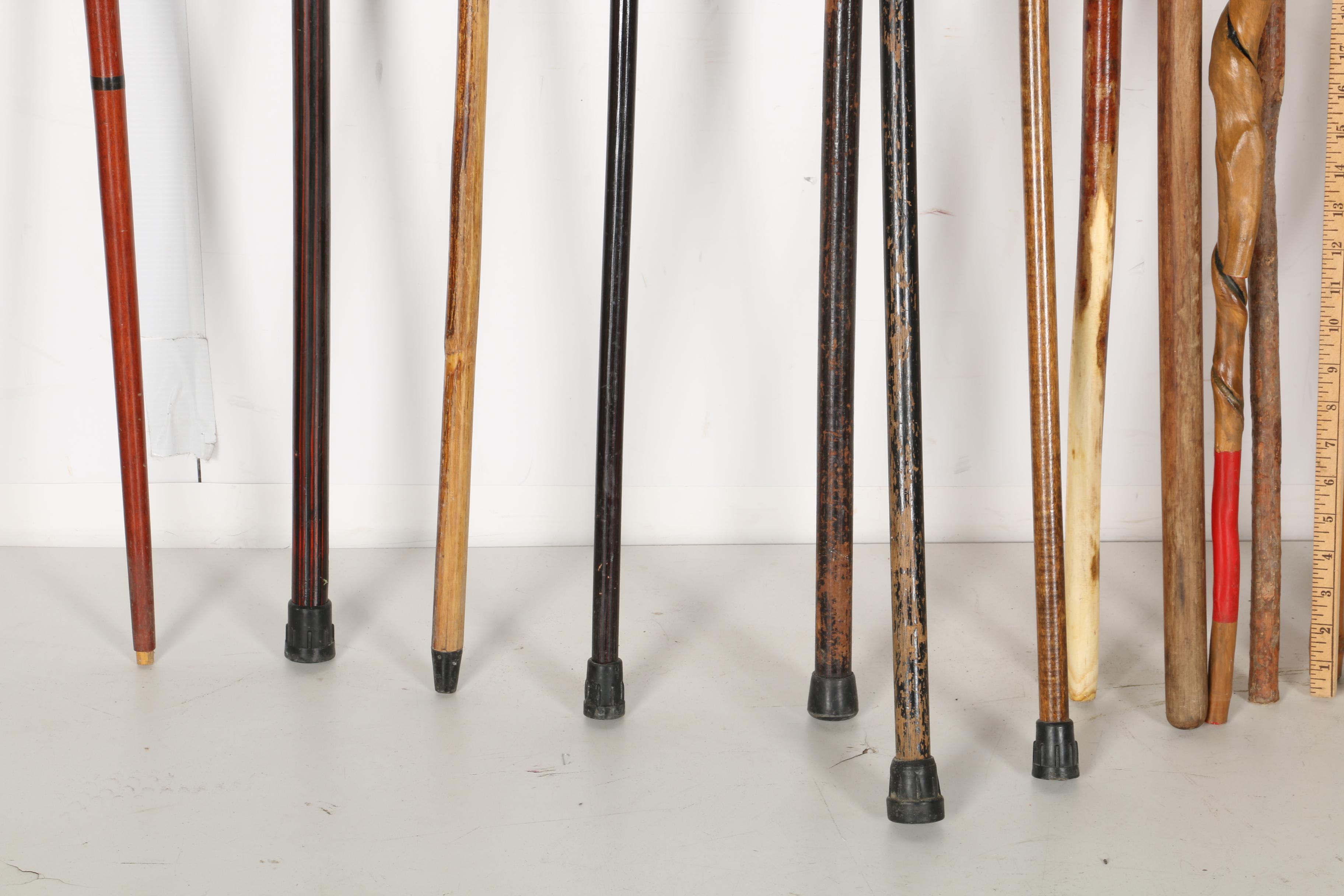 Canes and Walking Sticks