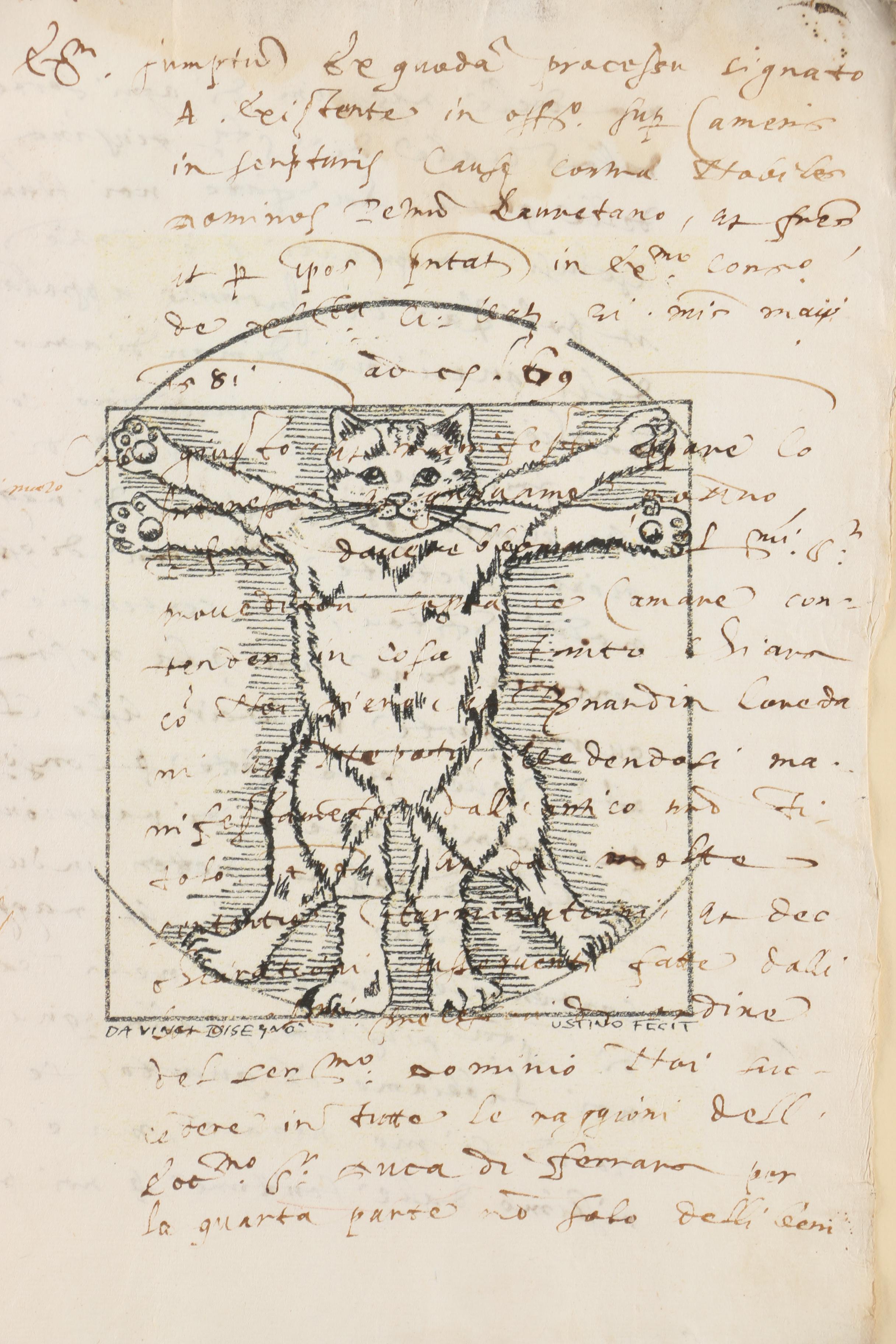 Cat Lithograph Inspired by Da Vinci's Vitruvian Man