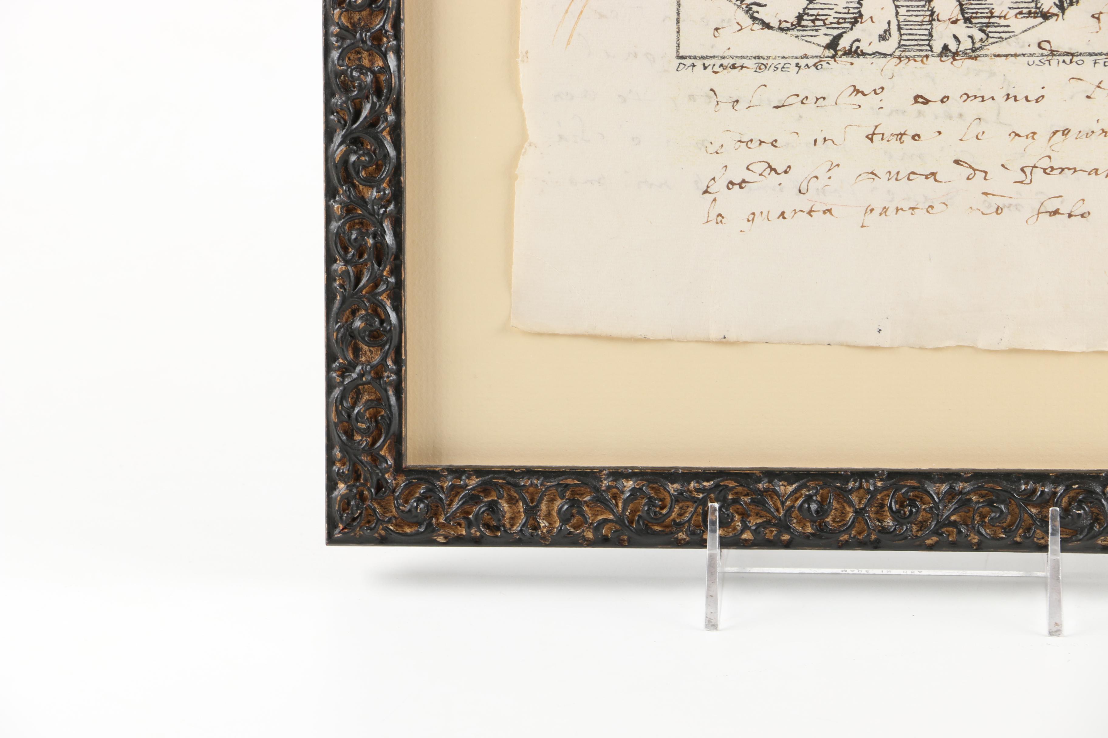 Cat Lithograph Inspired by Da Vinci's Vitruvian Man